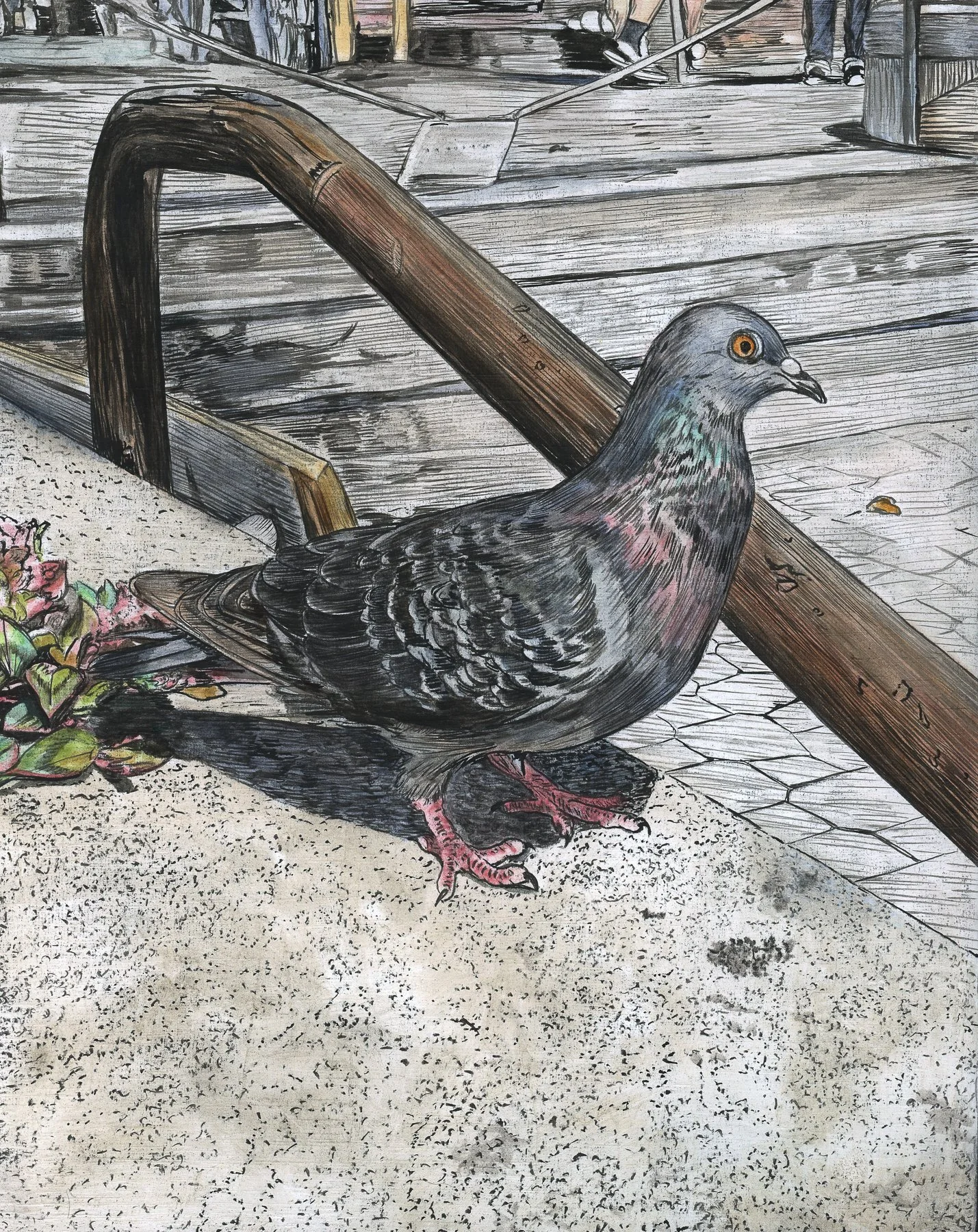 emily-brock-lewis-pigeon--phantasmagoria-of-birds-faultline-gallery.jpg