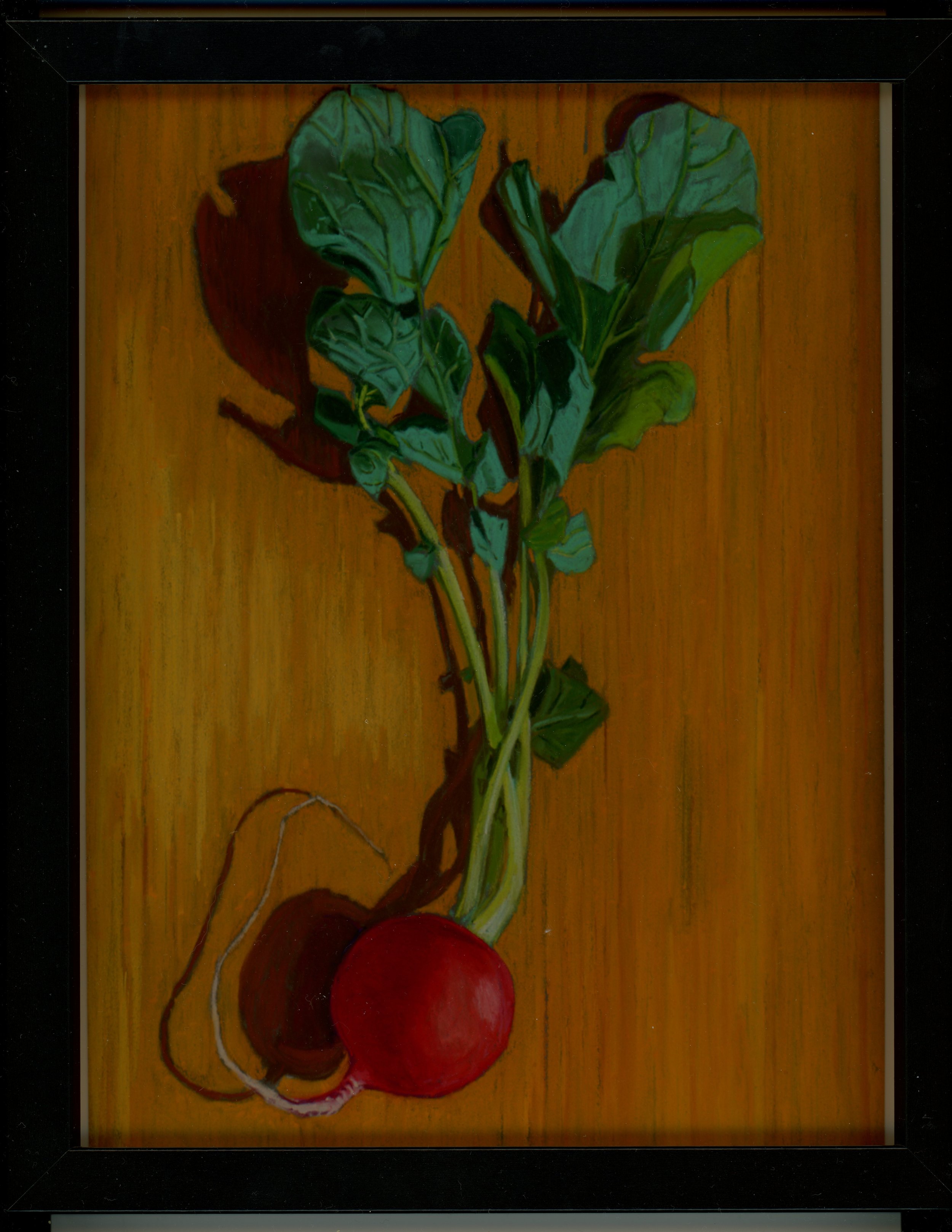faultline-8x10-2026-Andrew-Pick-Bright-Radish.jpg