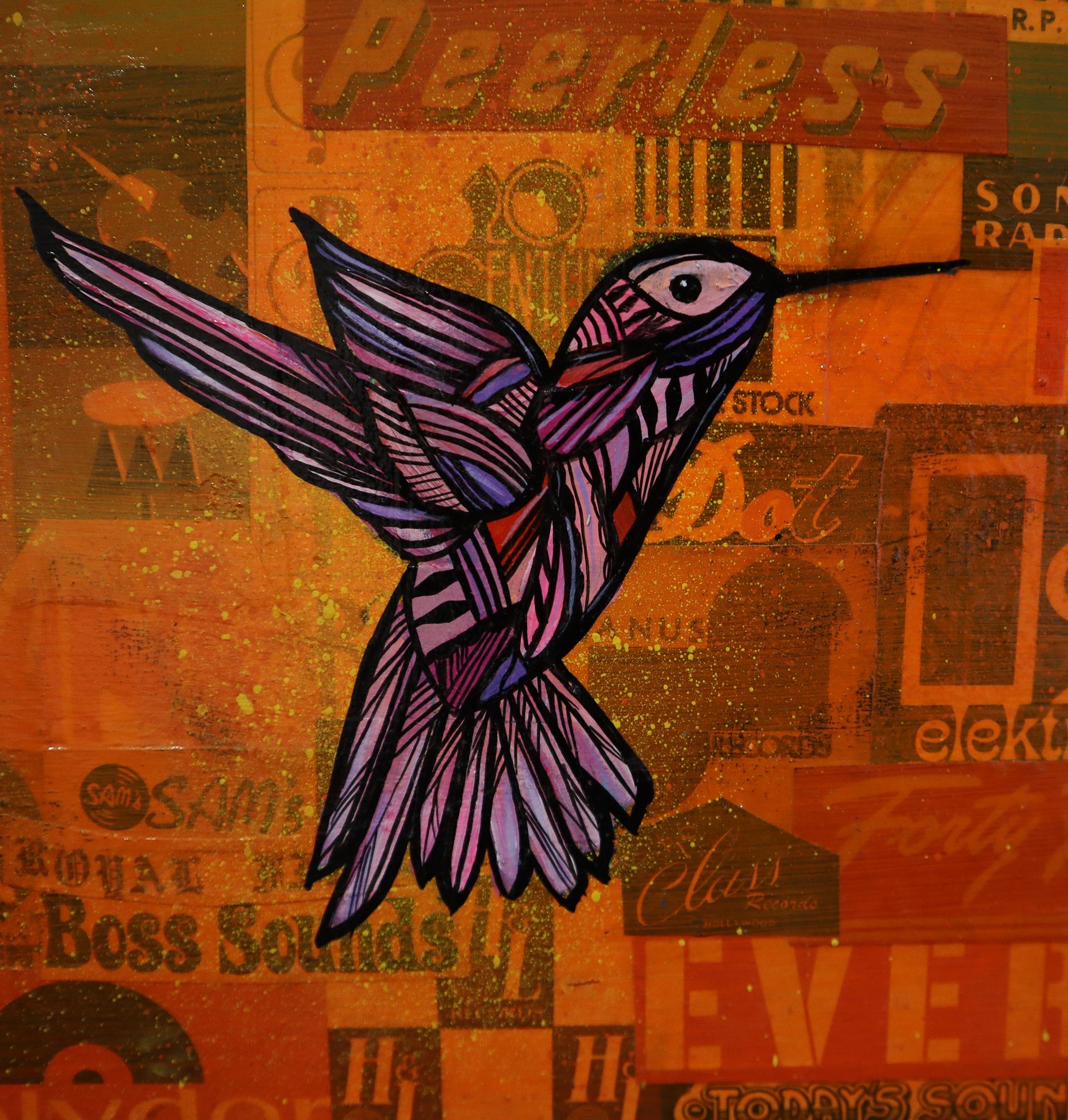 cameron-thompson-hummingbirds-phantasmagoria-of-birds-faultline-gallery-2.jpg