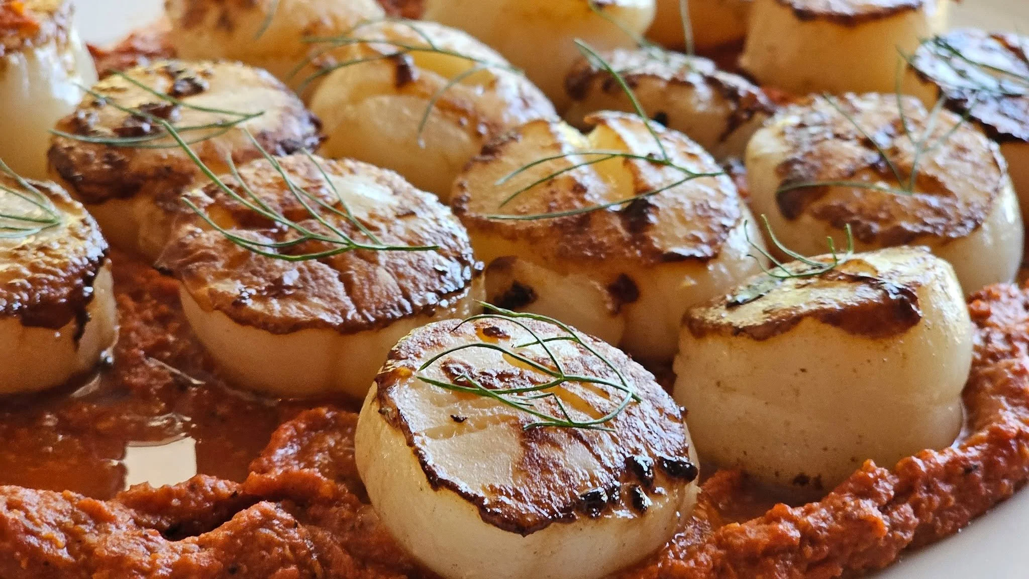 That sear though. 🔥
Pan-seared scallops over a rich romesco &mdash; this is the kind of dish that makes your guests go quiet for a second before they start asking "who catered this?!"

At Busy Bee Cook for Me, every plate is intentional. E