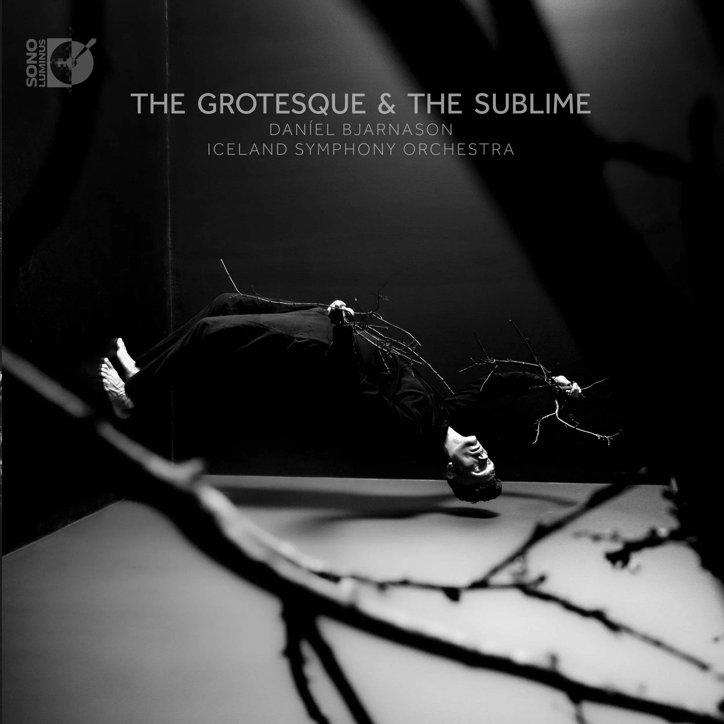 The Grotesque & The Sublime.webp