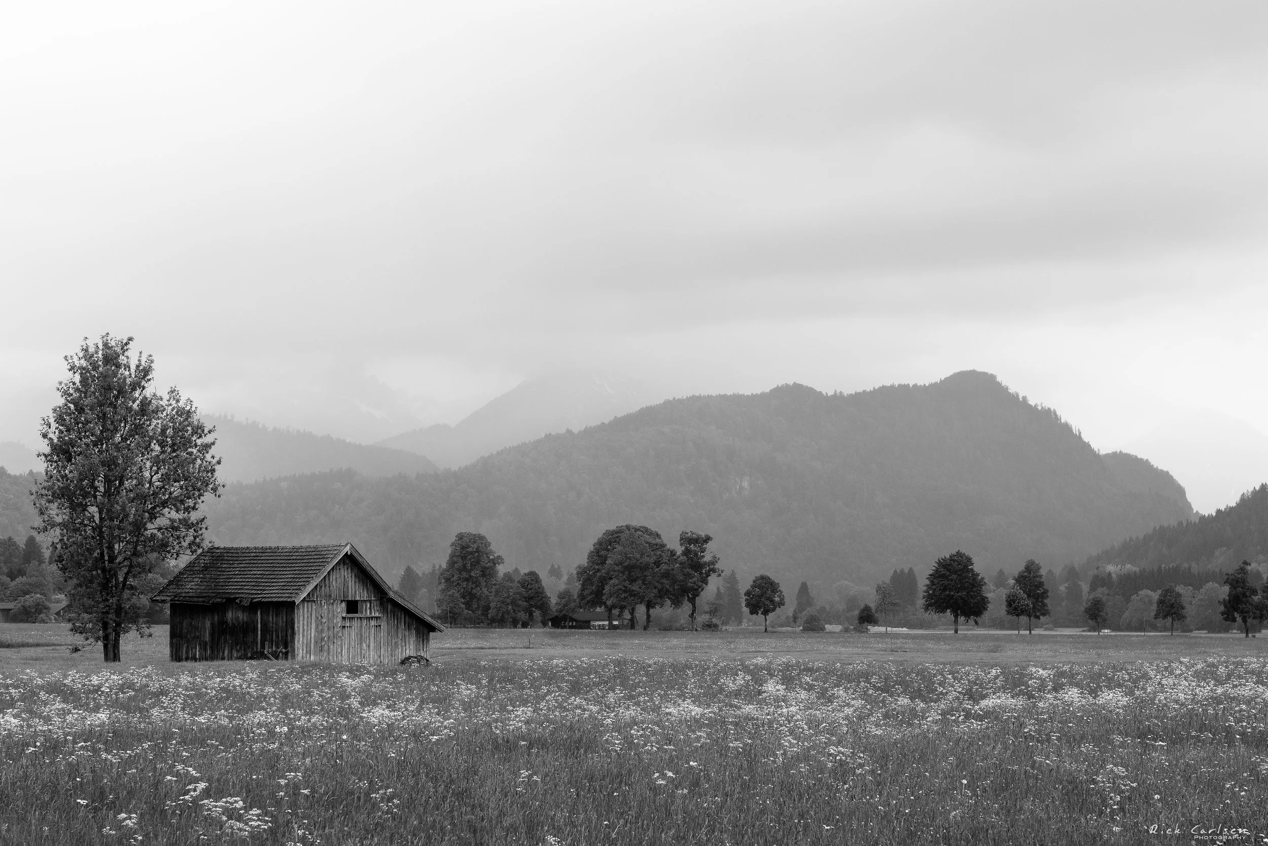 RTC03497-Edit-2.jpg