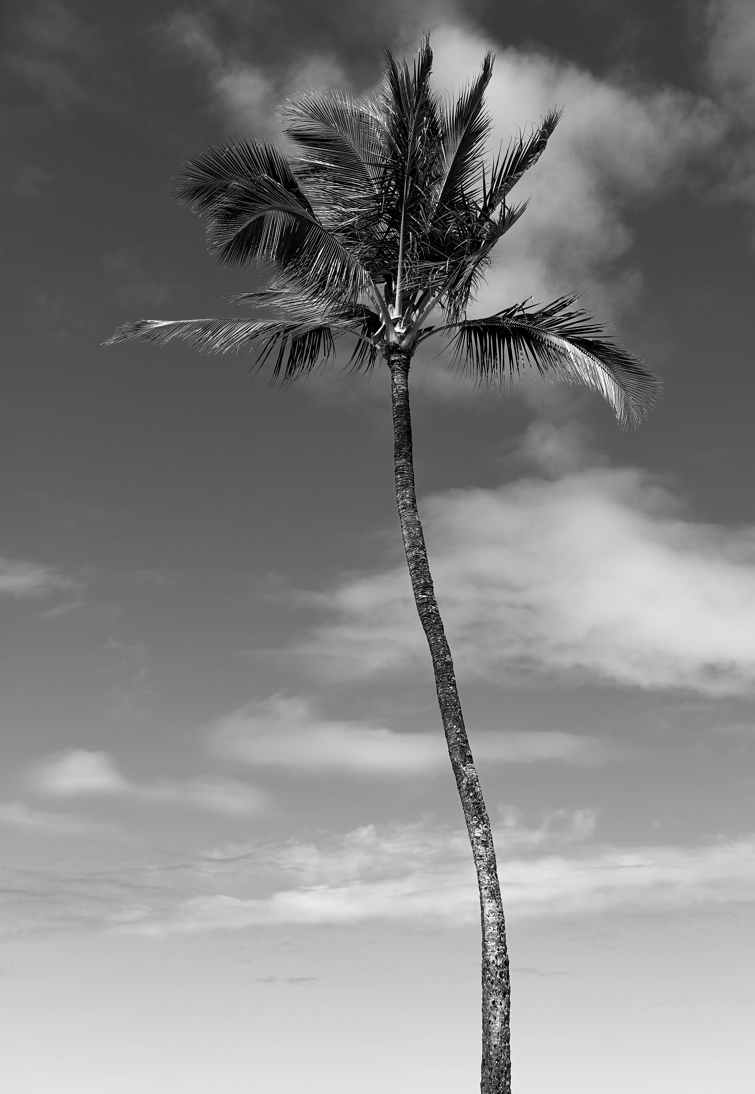 DSCF2744.jpg