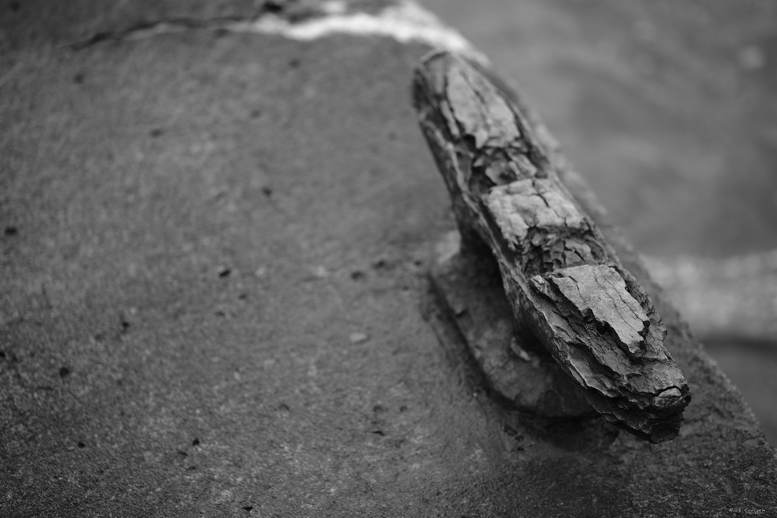 DSCF4981.jpg