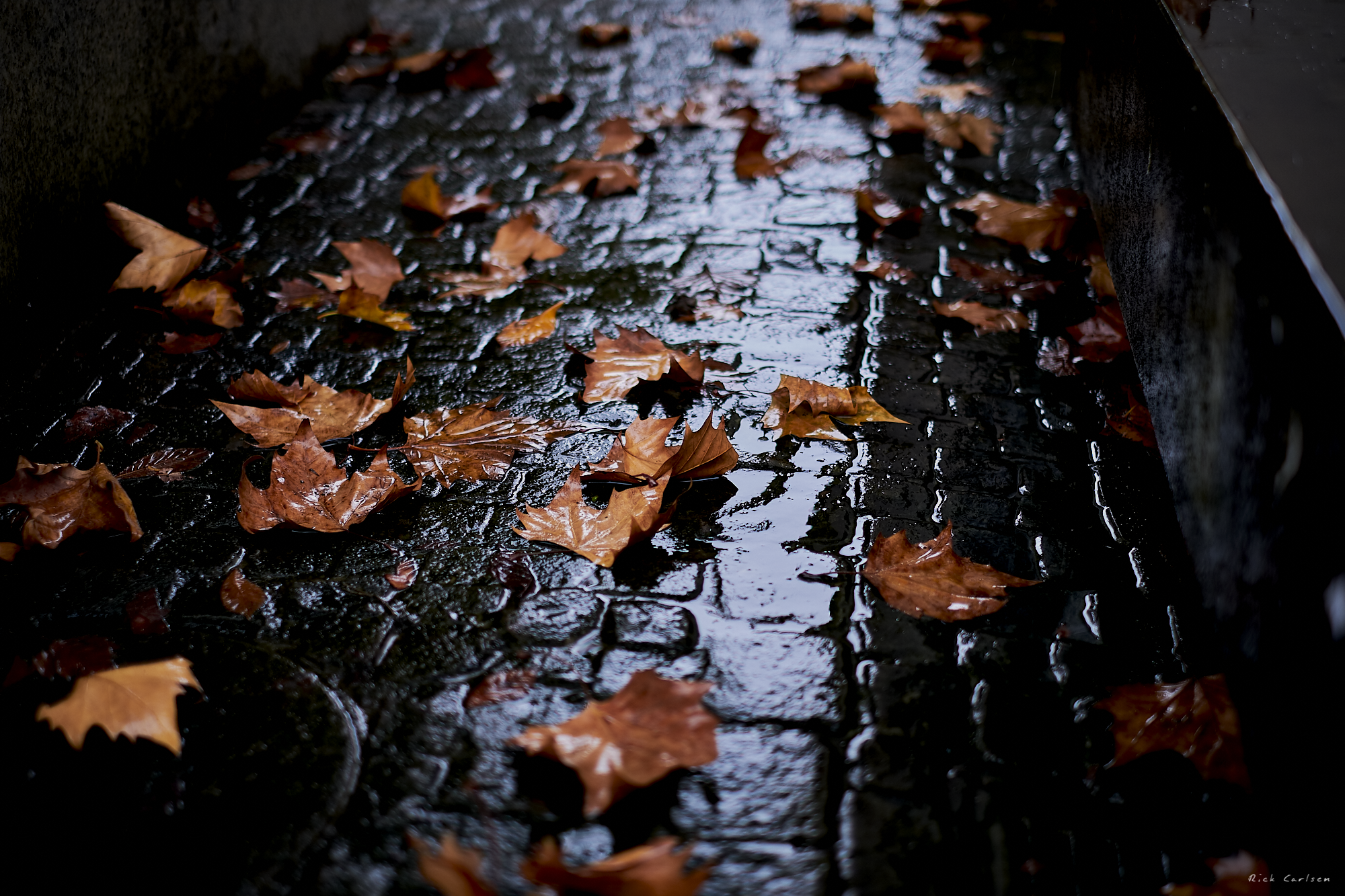 DSCF9062-IXT.png