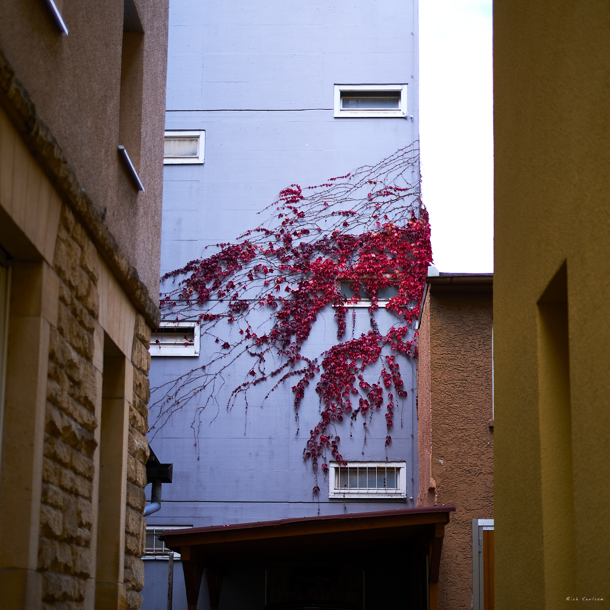 DSCF9420-IXT.png
