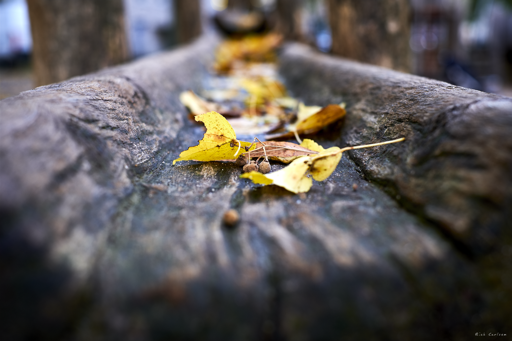 DSCF9452-IXT.png