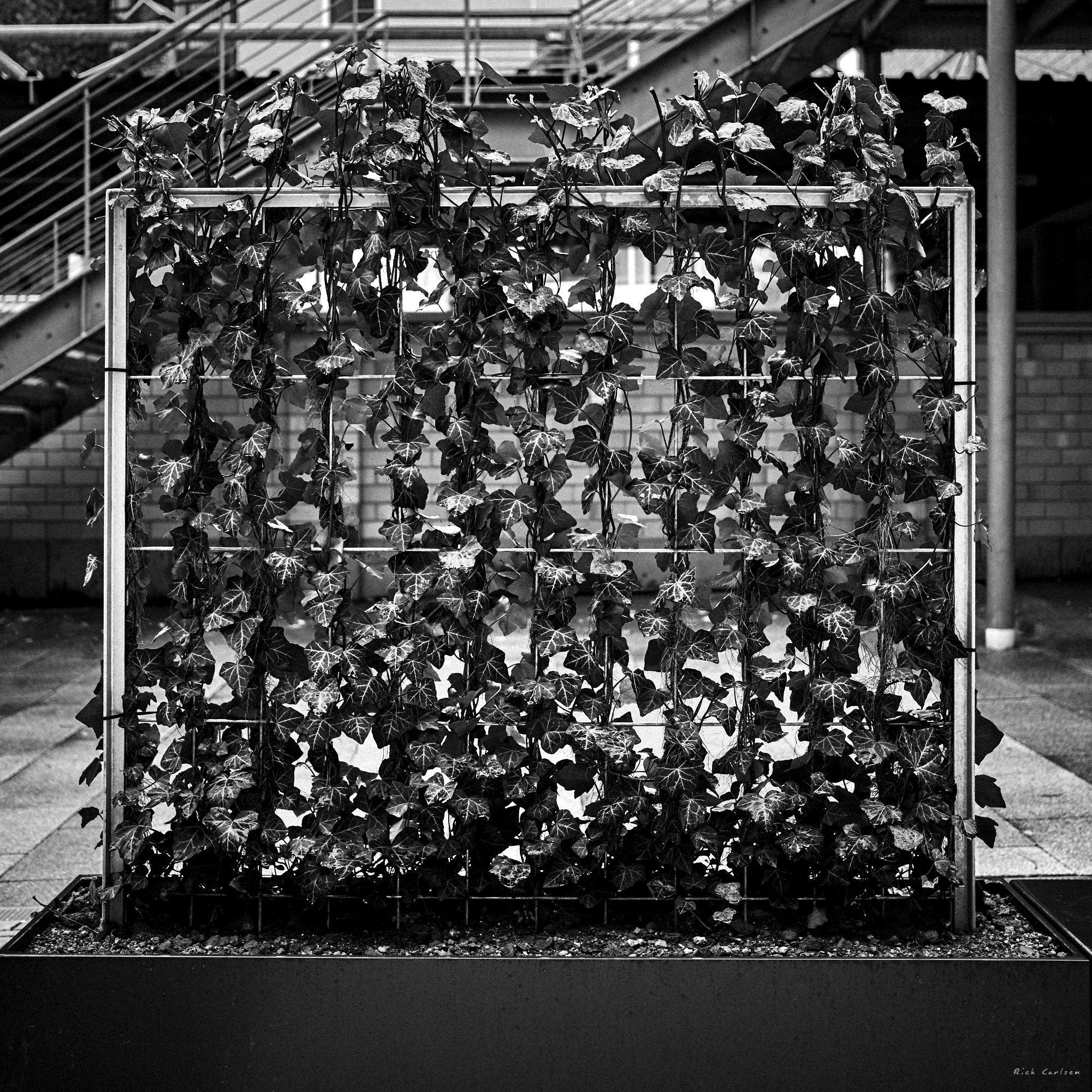 DSCF0026-IXT.png