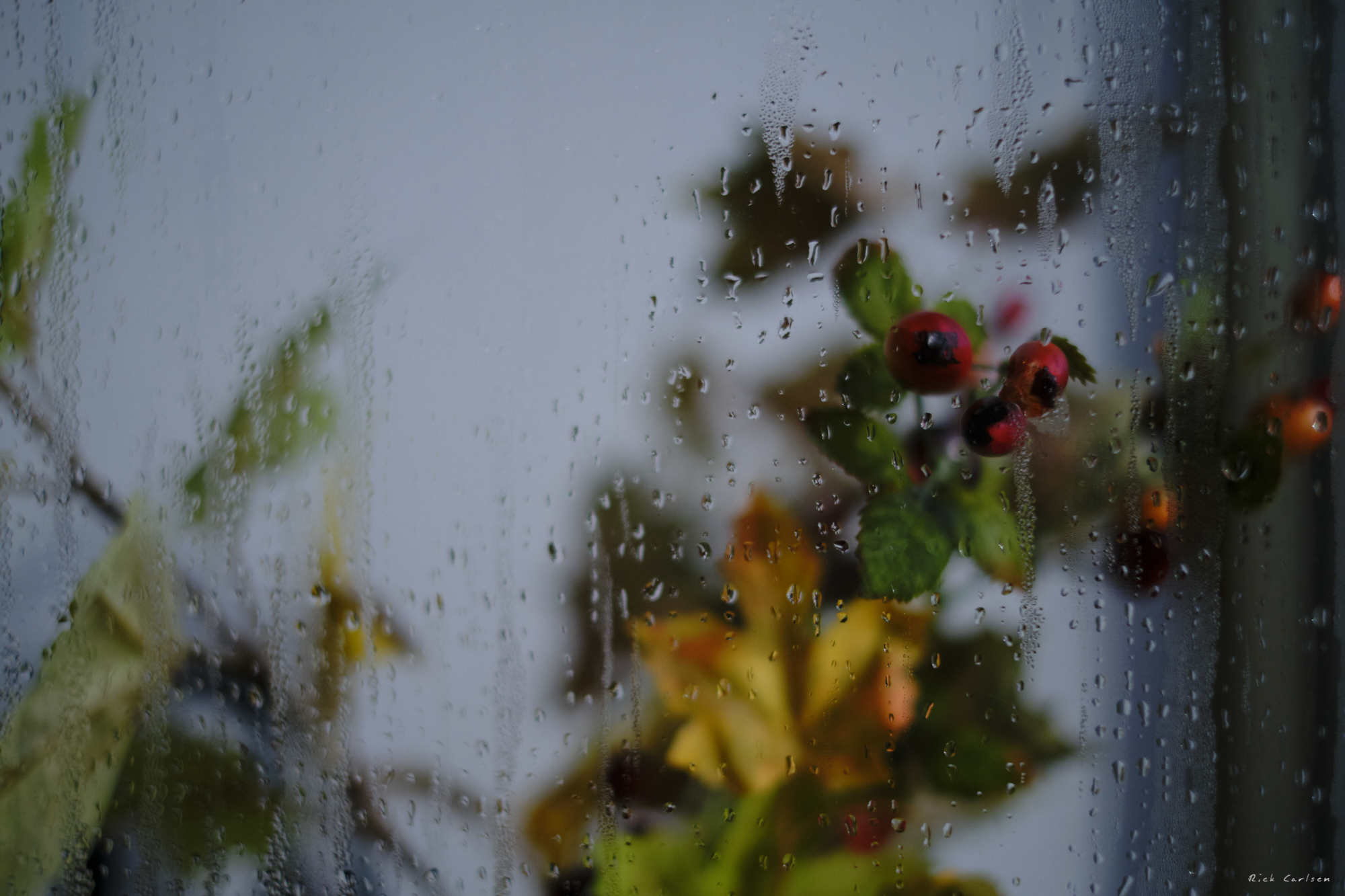 DSCF0206.png