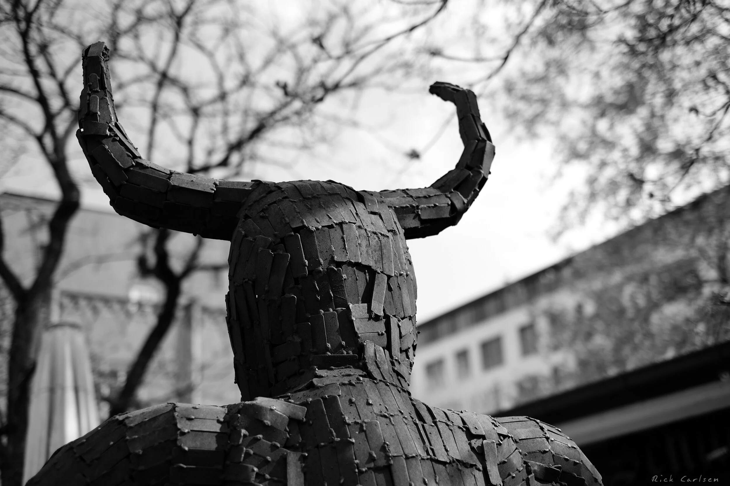 DSCF2618.jpg