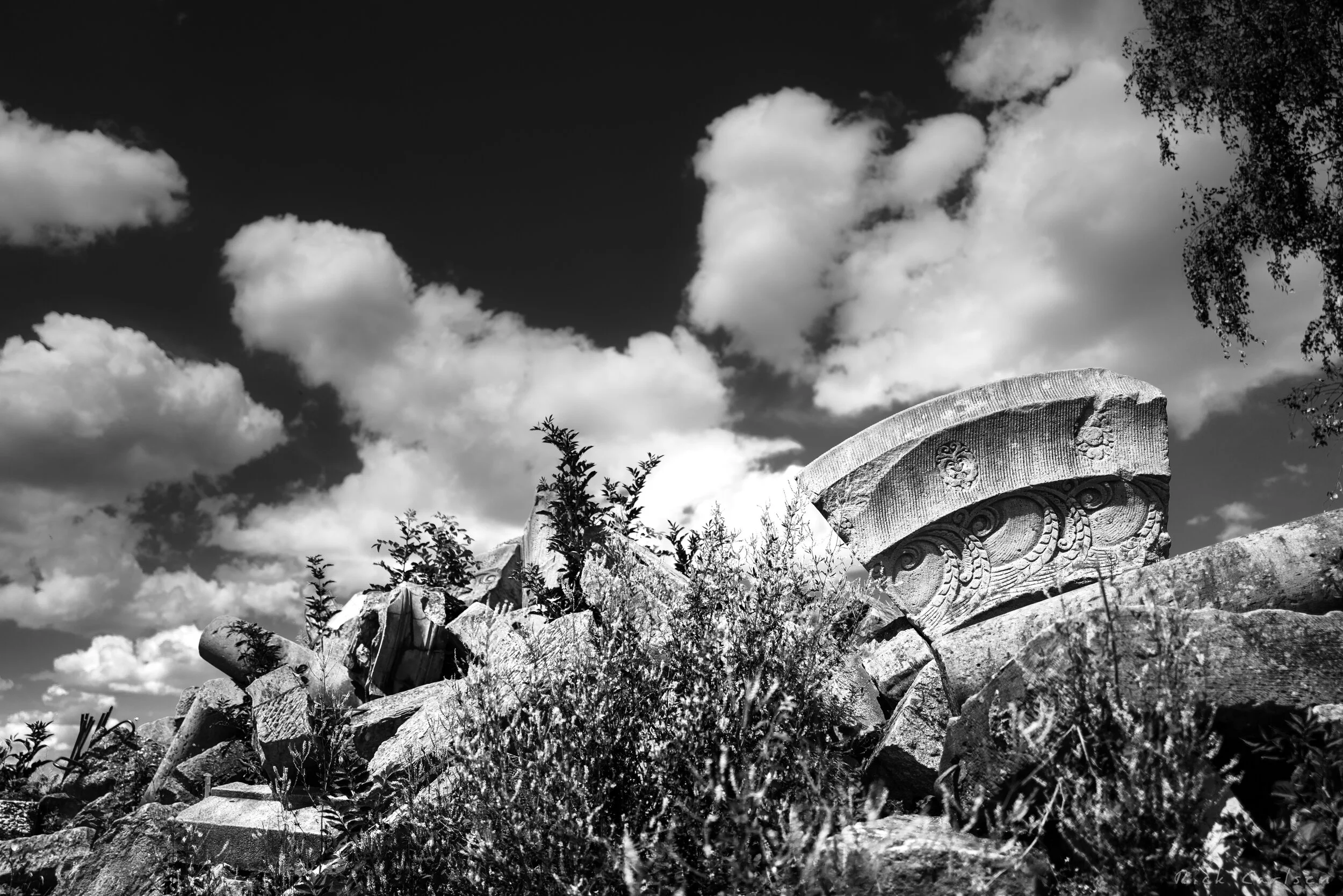 L1000532.jpg