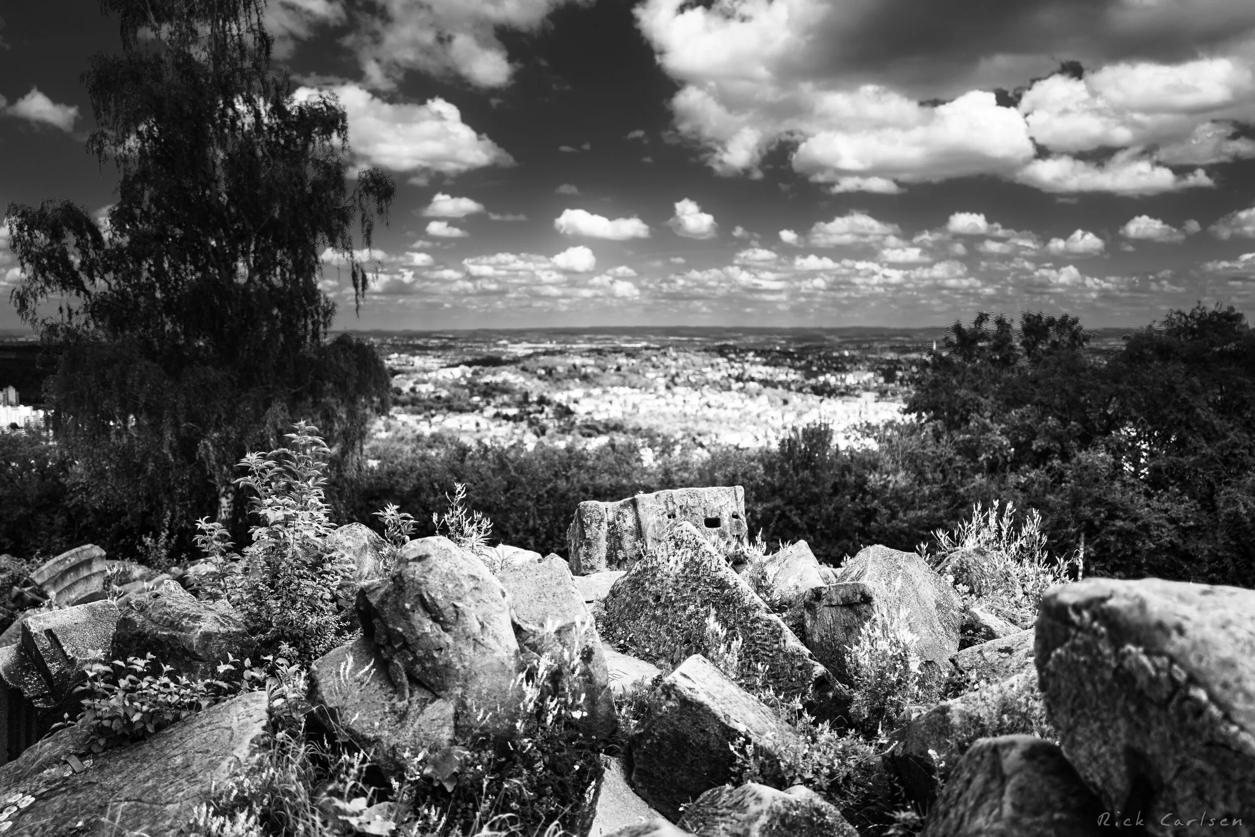 L1000549.jpg