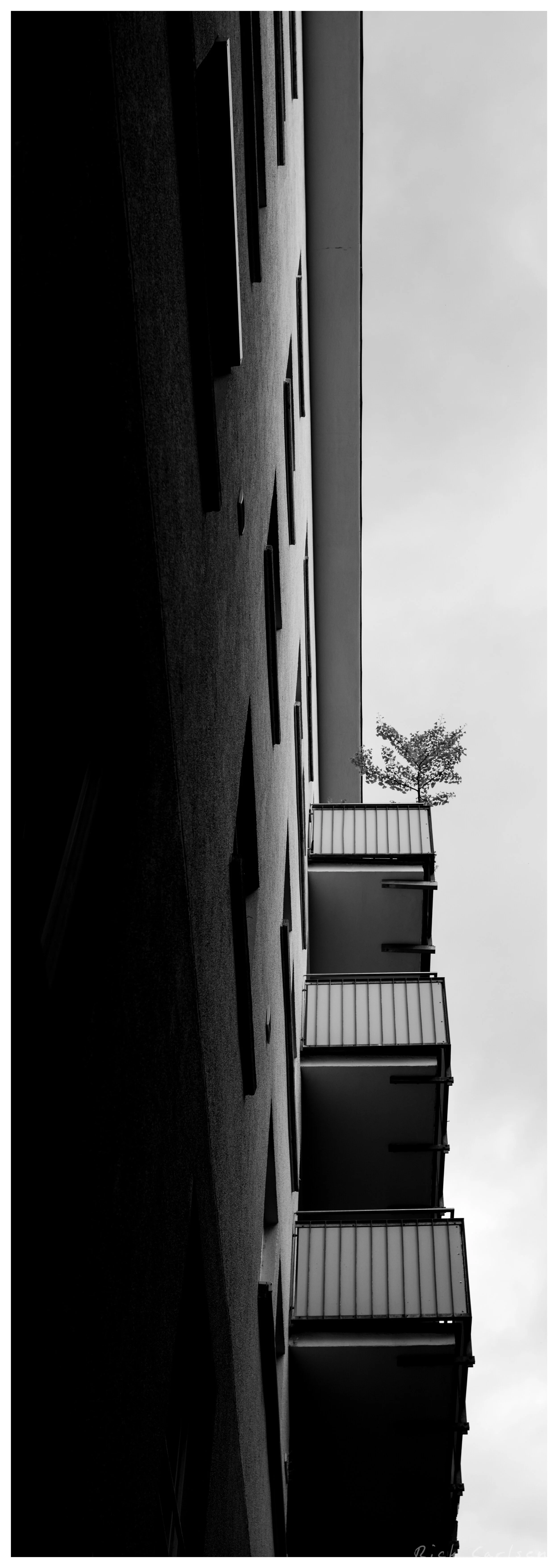 L1010034-Edit.jpg