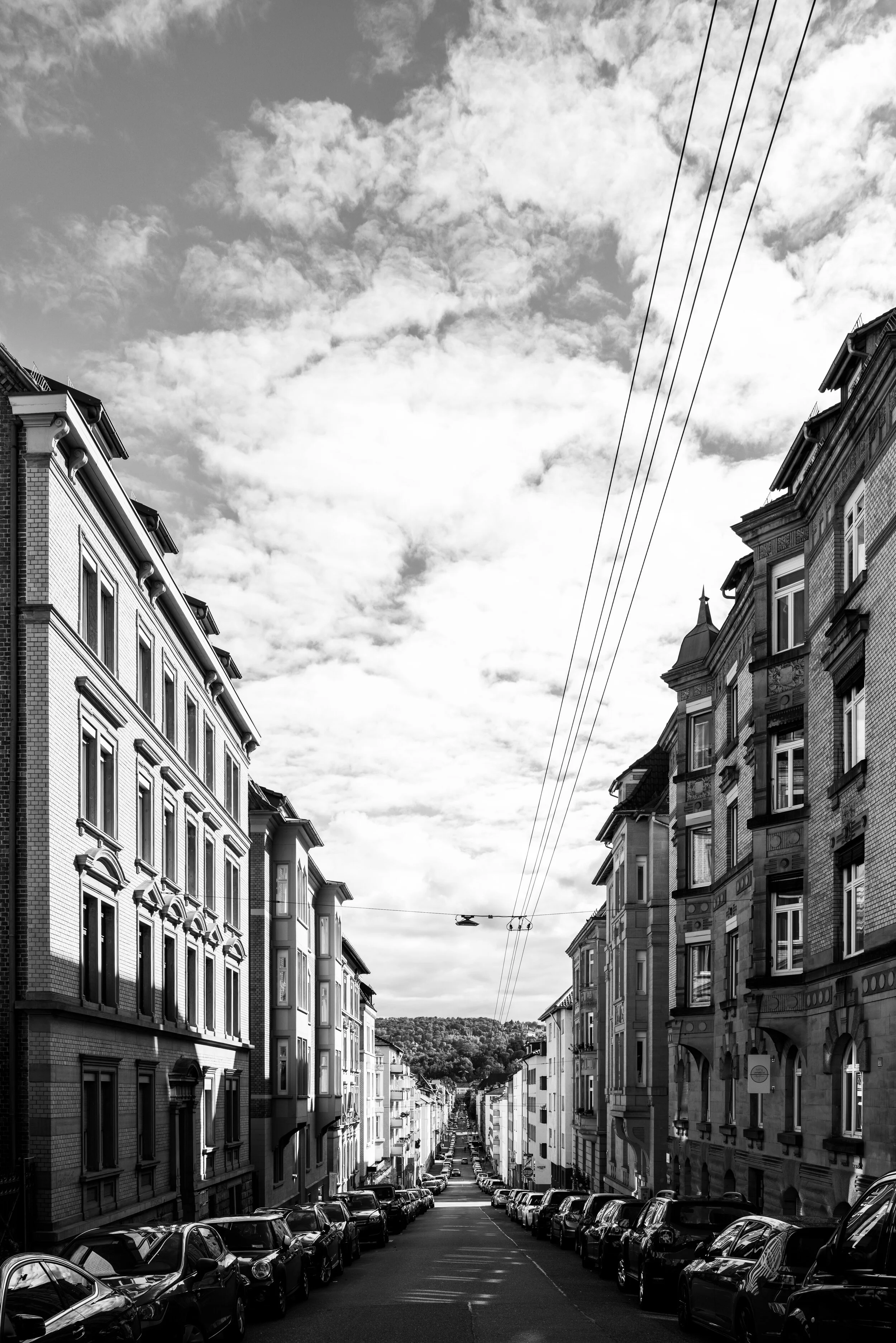 L1010800.jpg