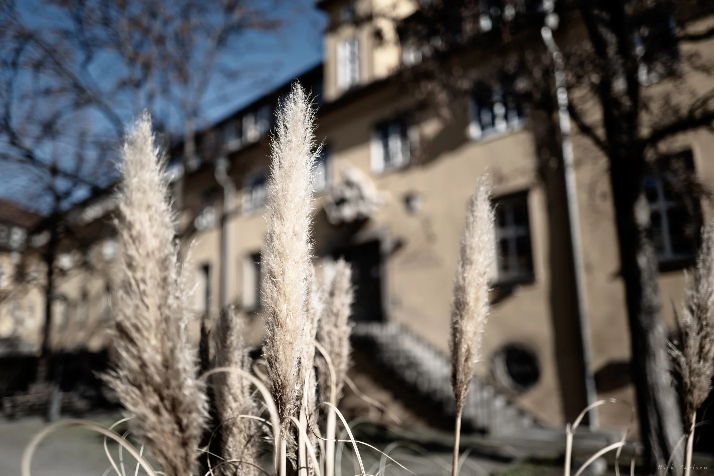 L1010360.jpg
