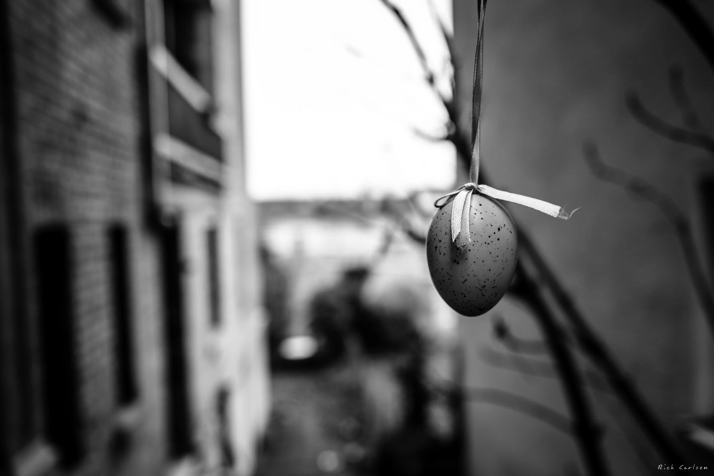 L1010674.jpg