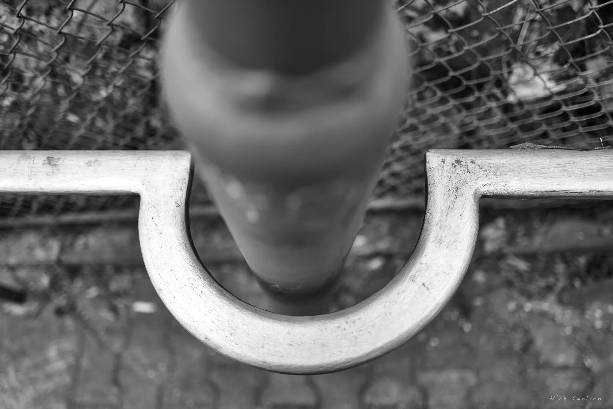 L1020363.jpg