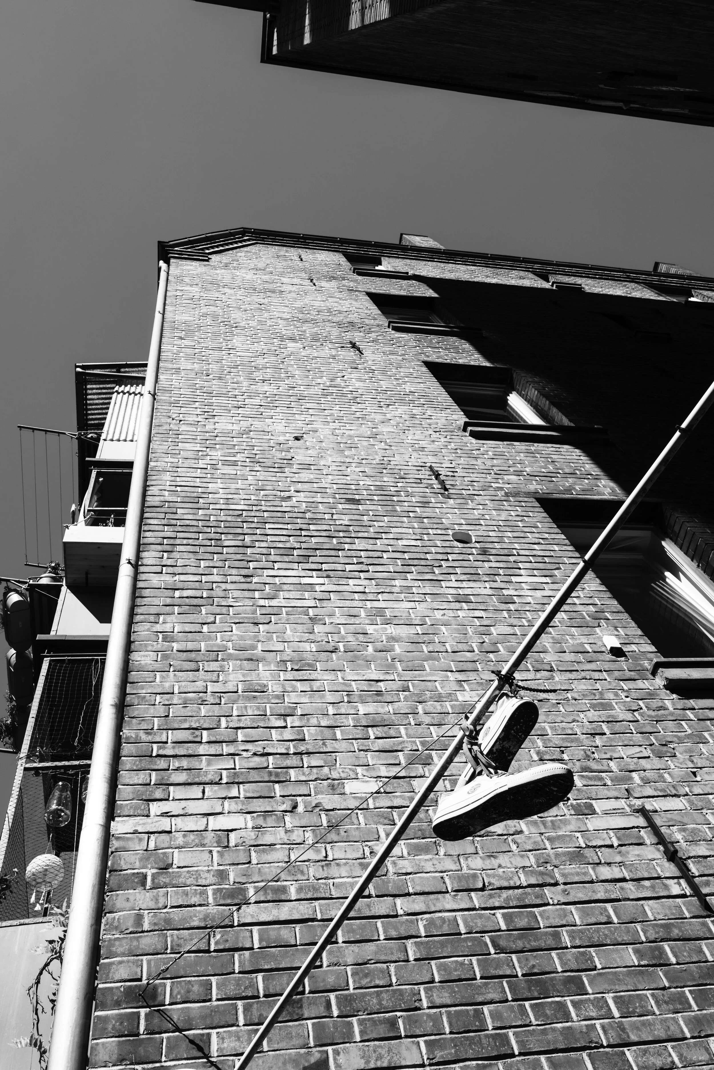 L1000461.jpg