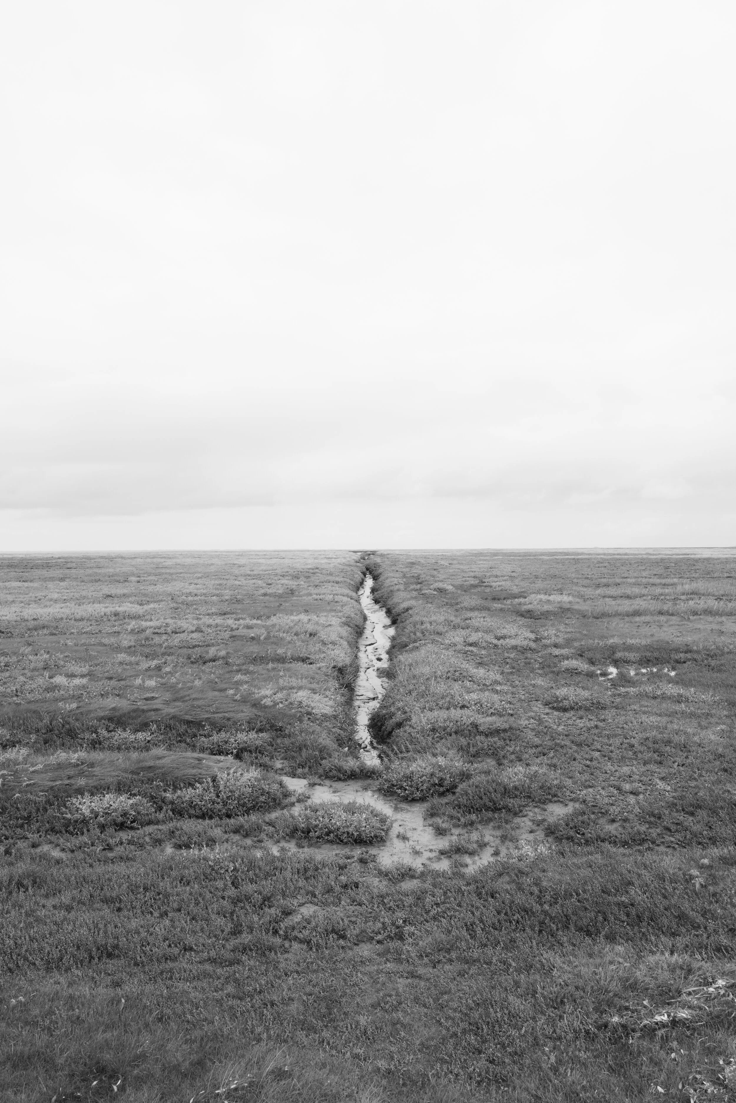 L1000862.jpg