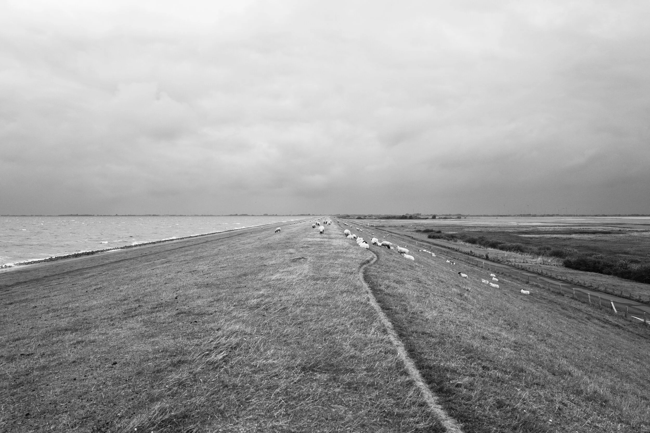 L1000820.jpg