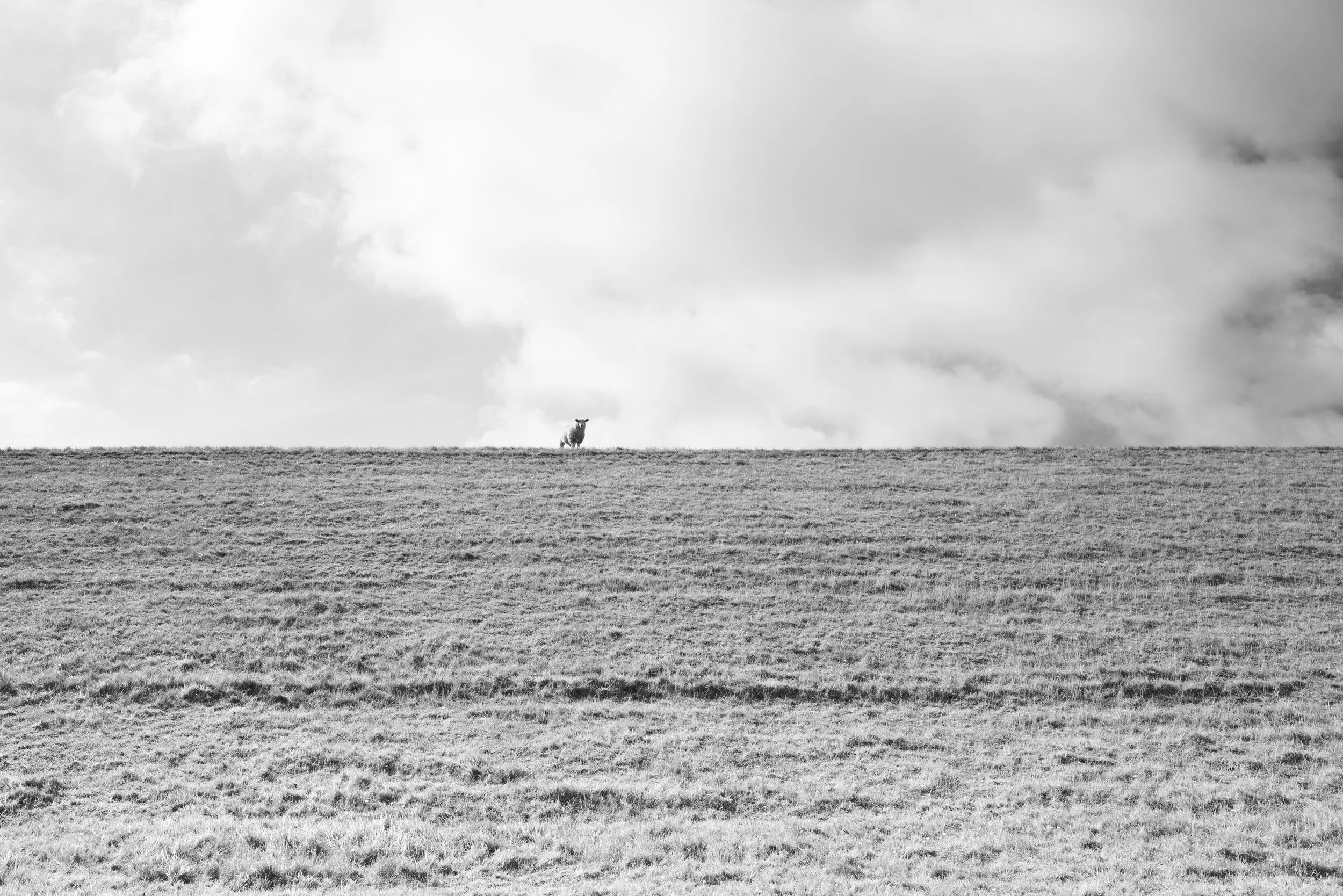 L1000750.jpg