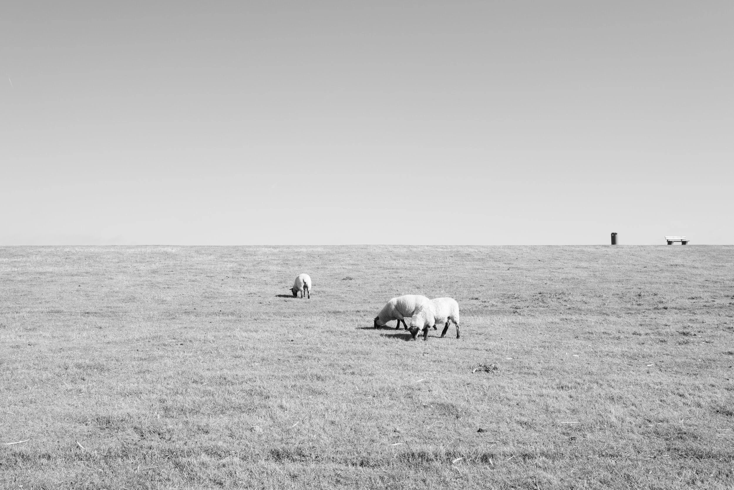 L1000716.jpg