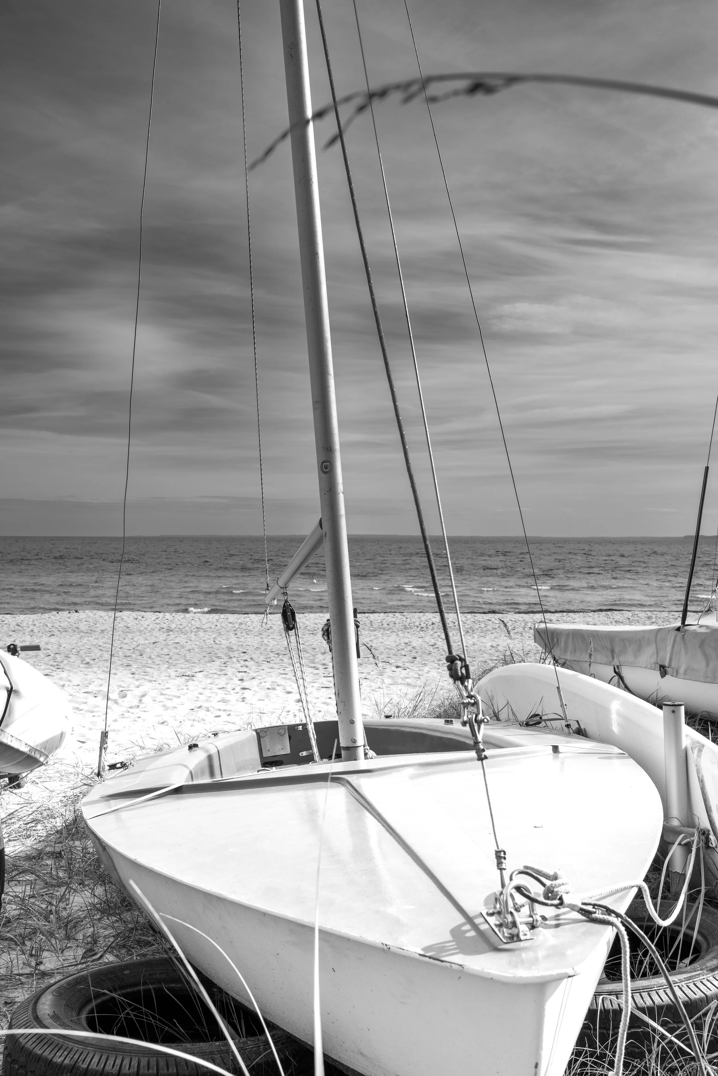 L1010070-2.jpg