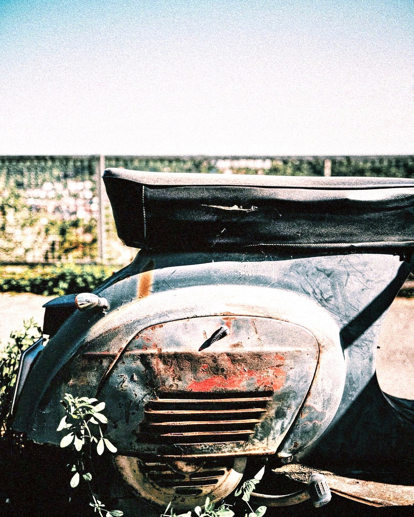 2E209334-87CC-41DE-B3EB-1F640808BD5B.jpeg