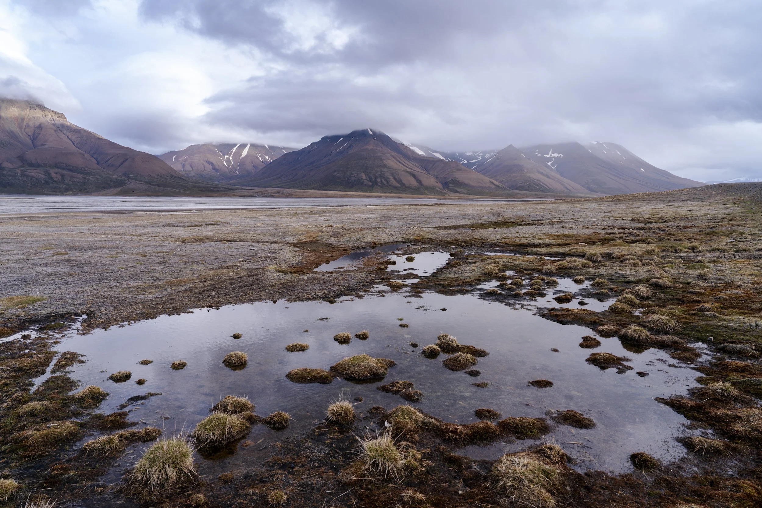 _DSC8965.jpg