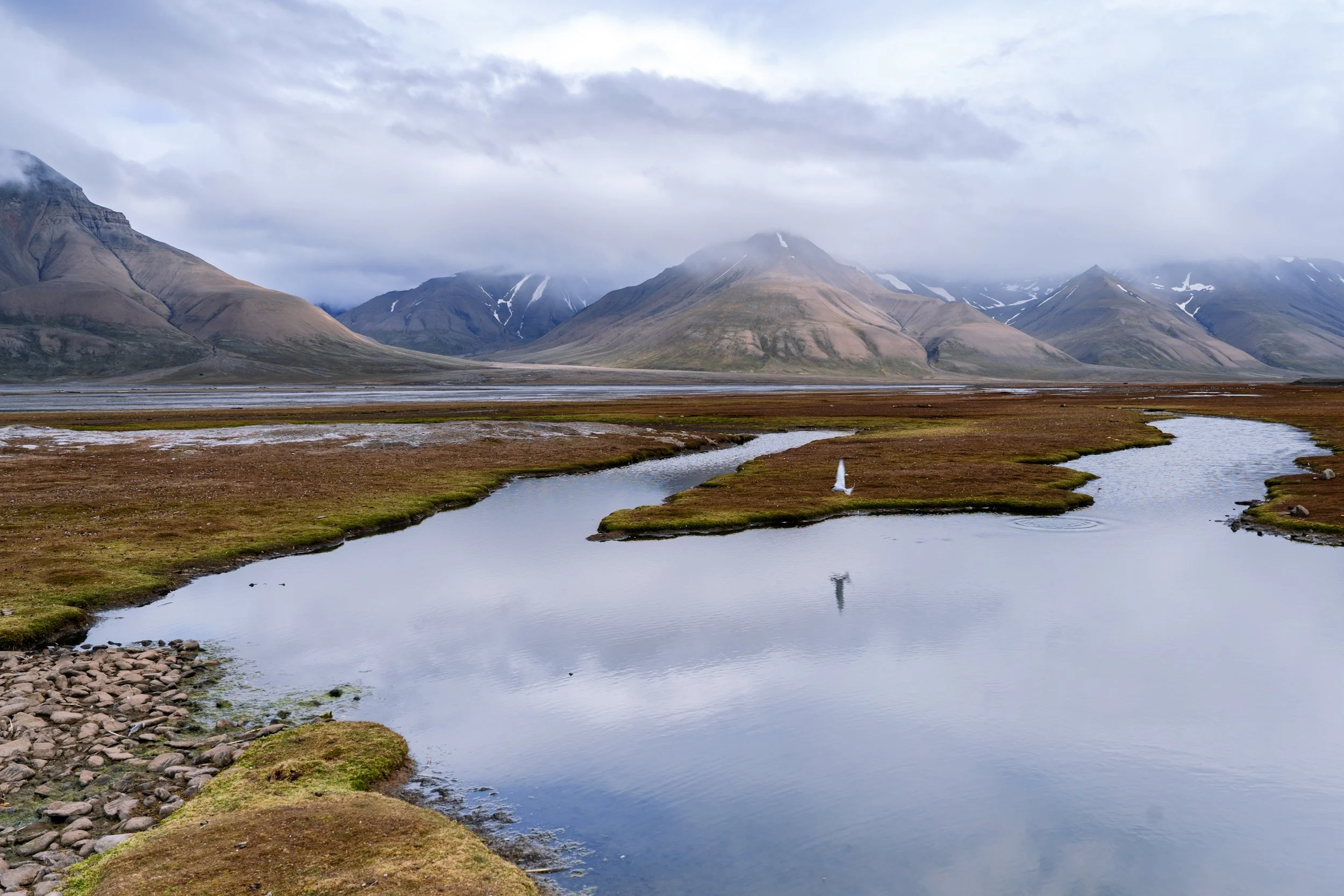 _DSC8979.jpg