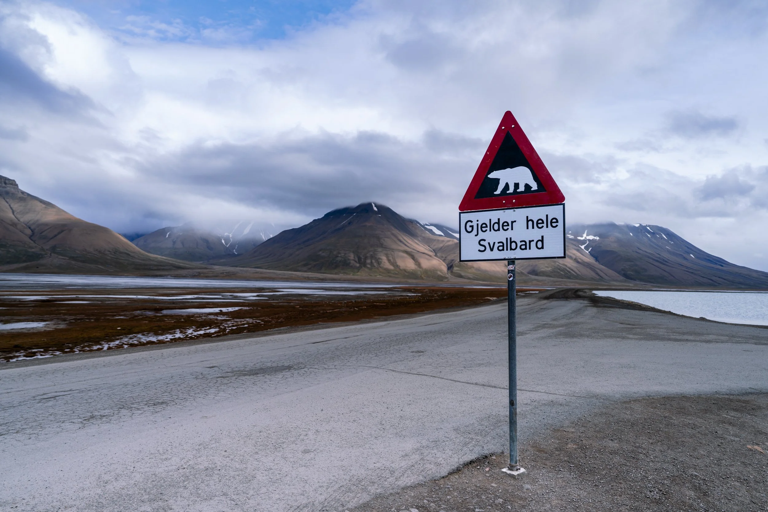 _DSC8988.jpg