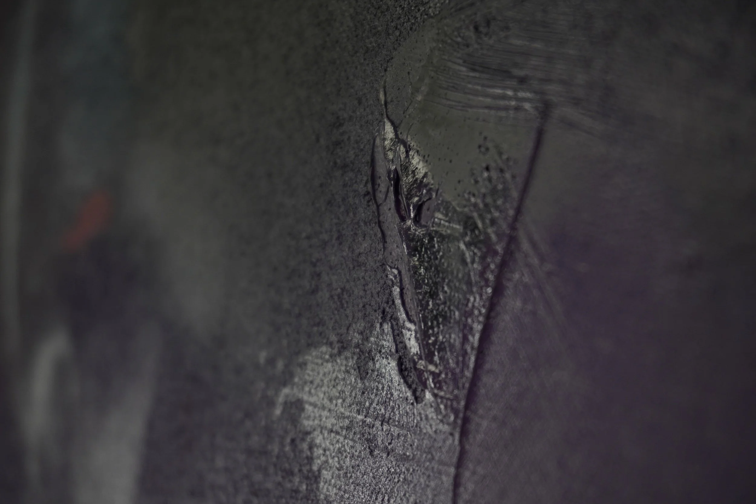 Heliotrope - 2023 DETAILS 11.jpg
