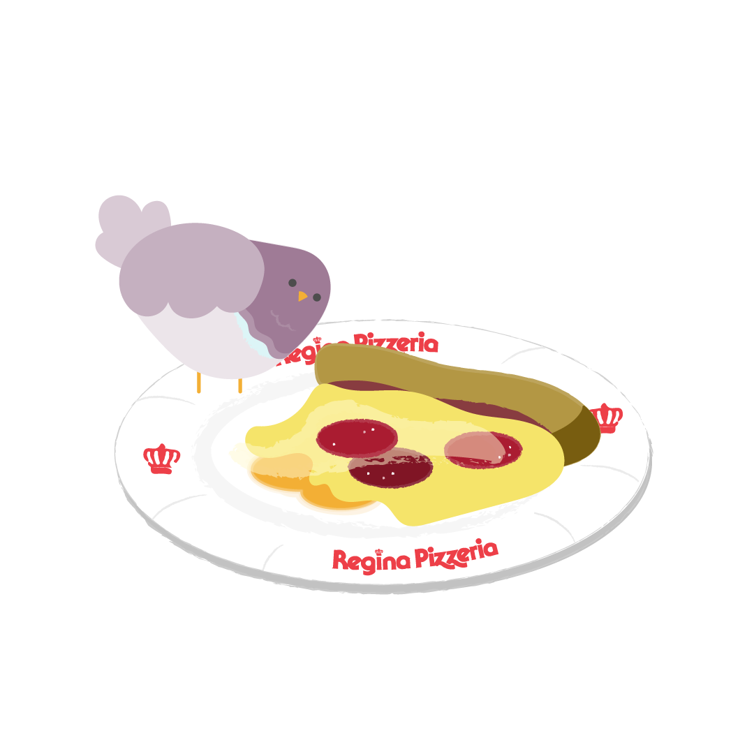 pigeon2_final.png