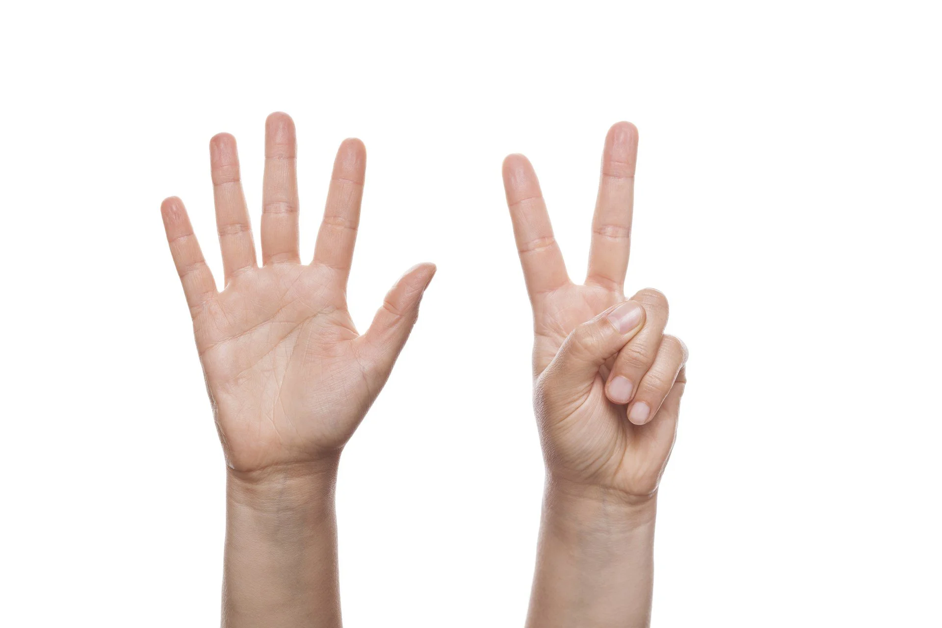 seven-fingers-white-background.jpg