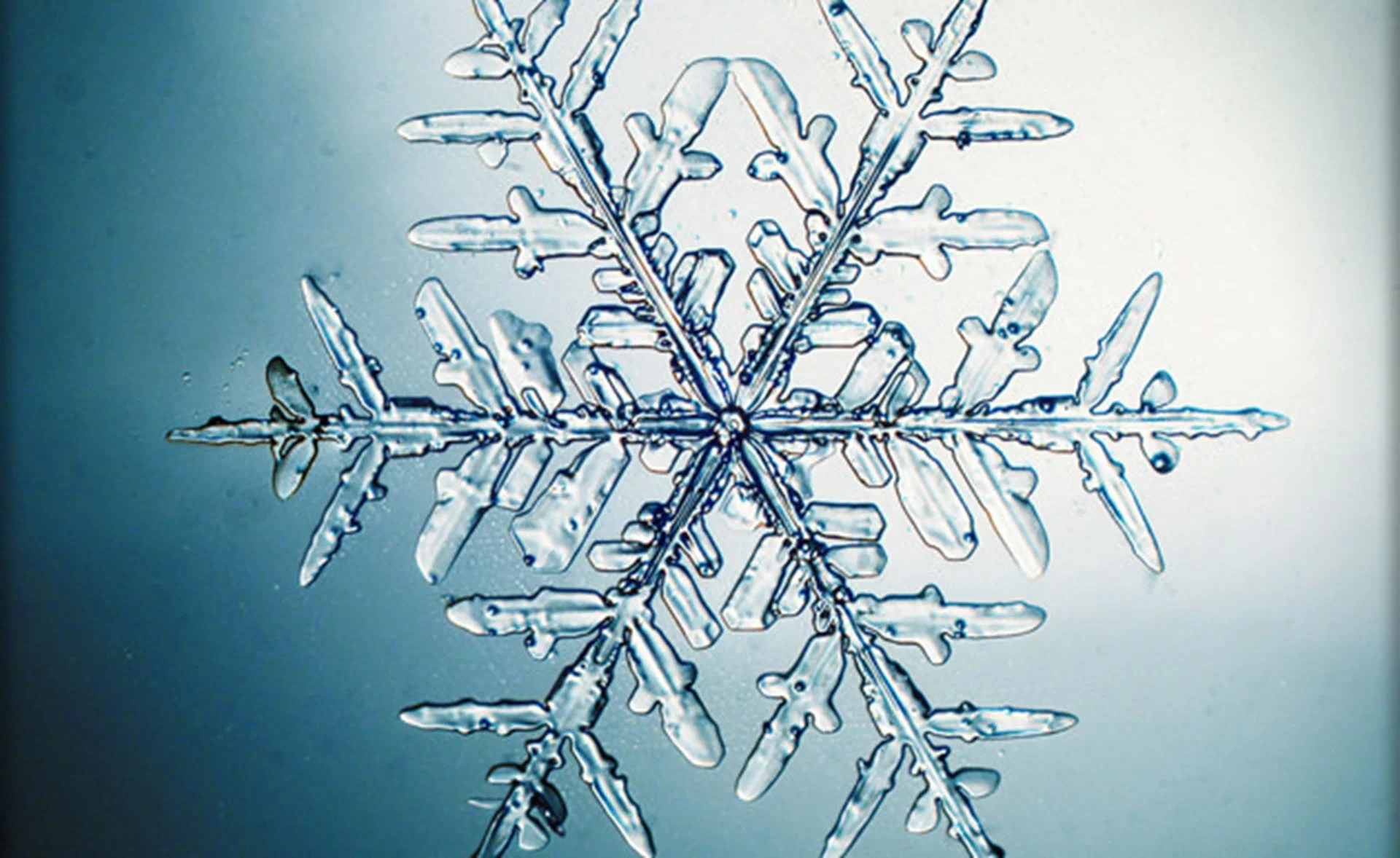 snow.jpg