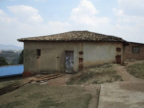 2019-08-farm-9.jpeg