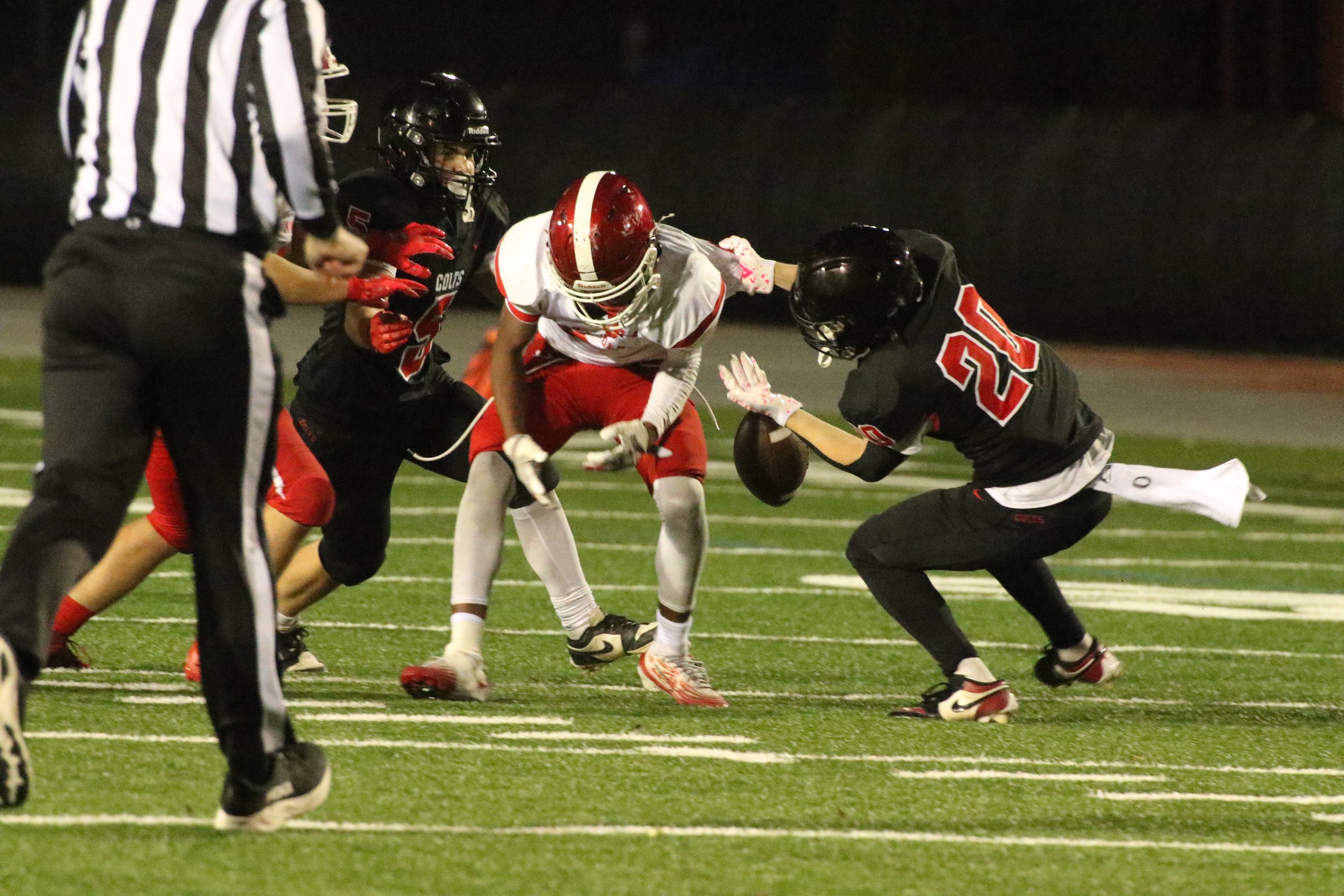 046A1449.JPG