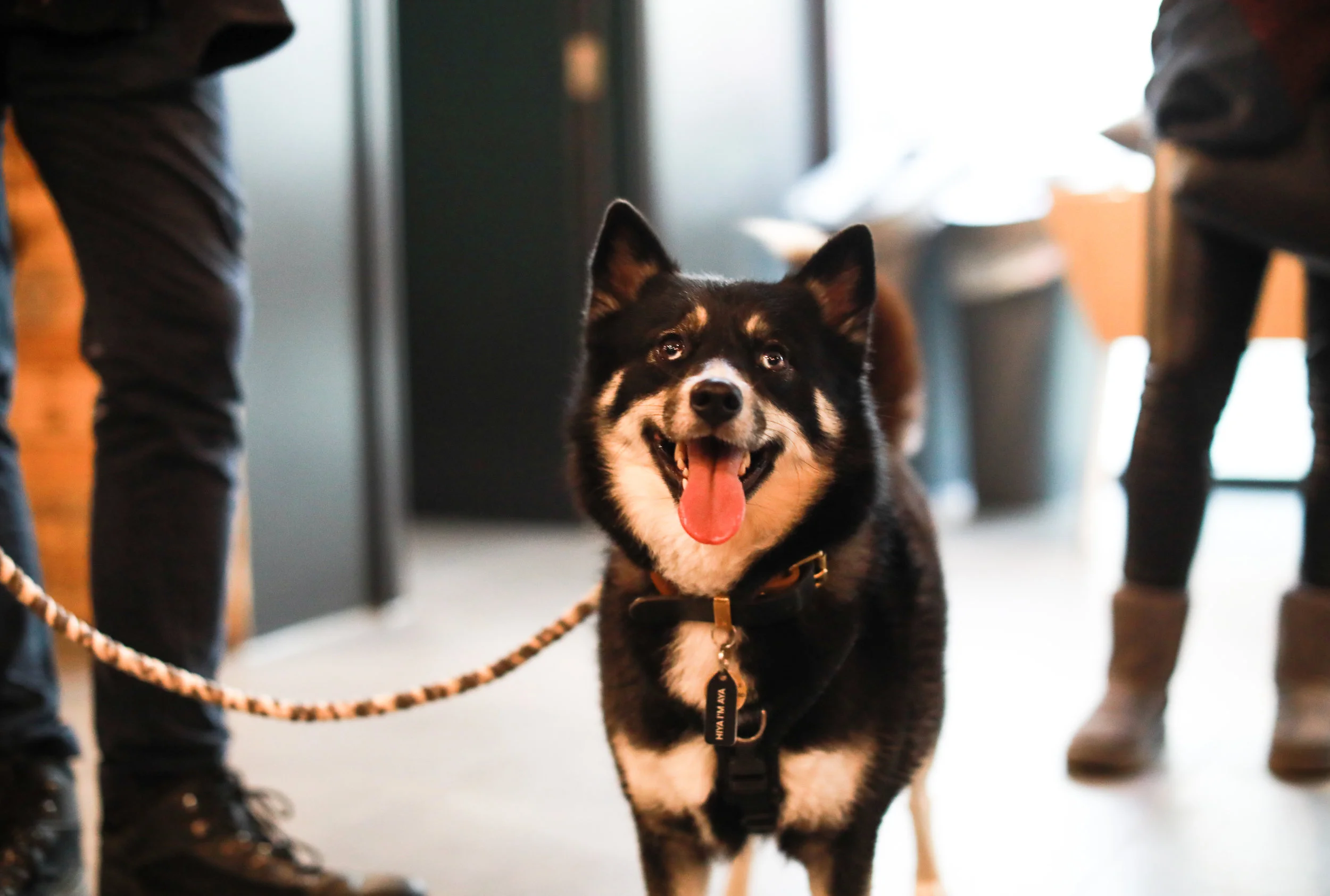 @ayathepomsky 2.jpg