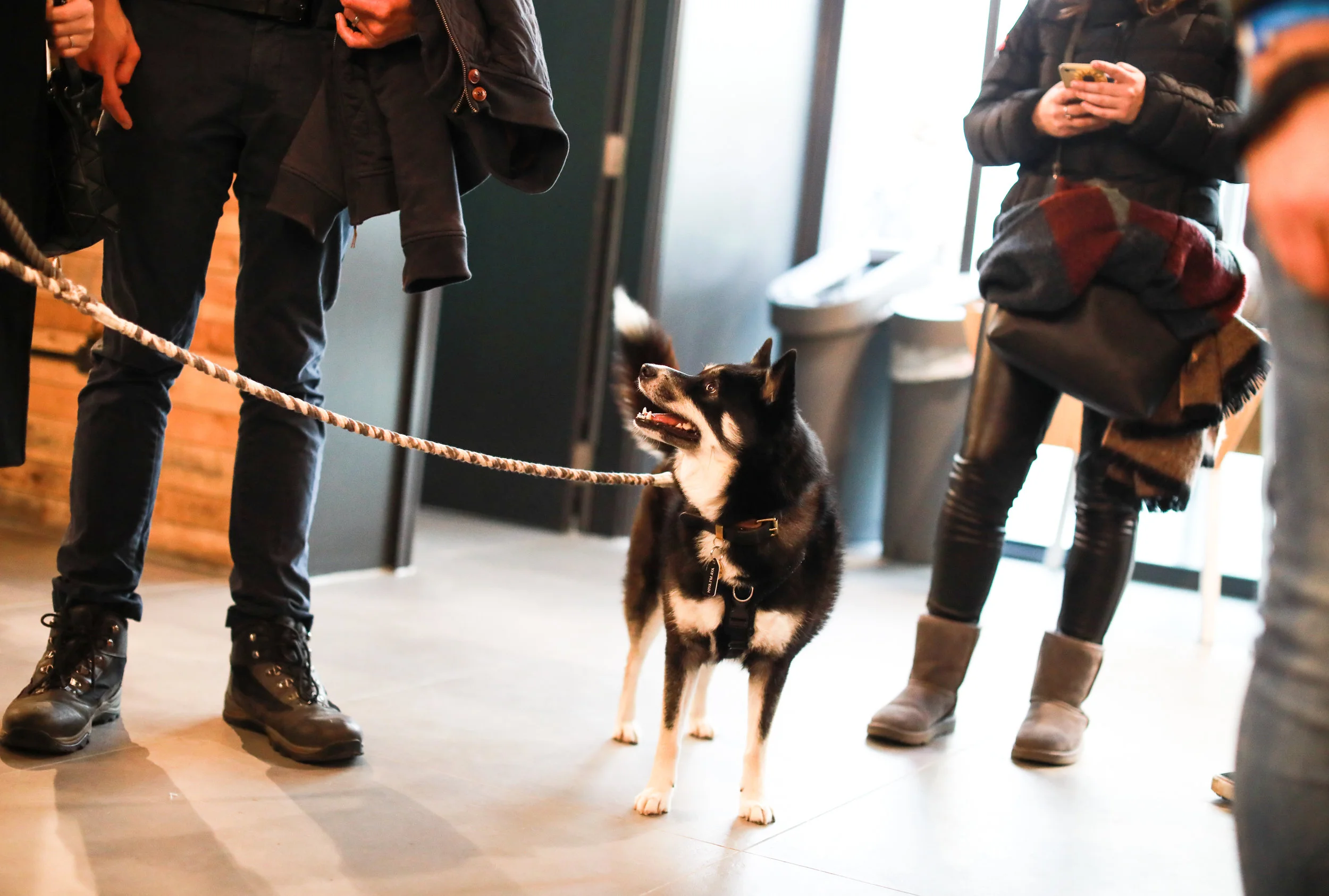 @ayathepomsky.jpg