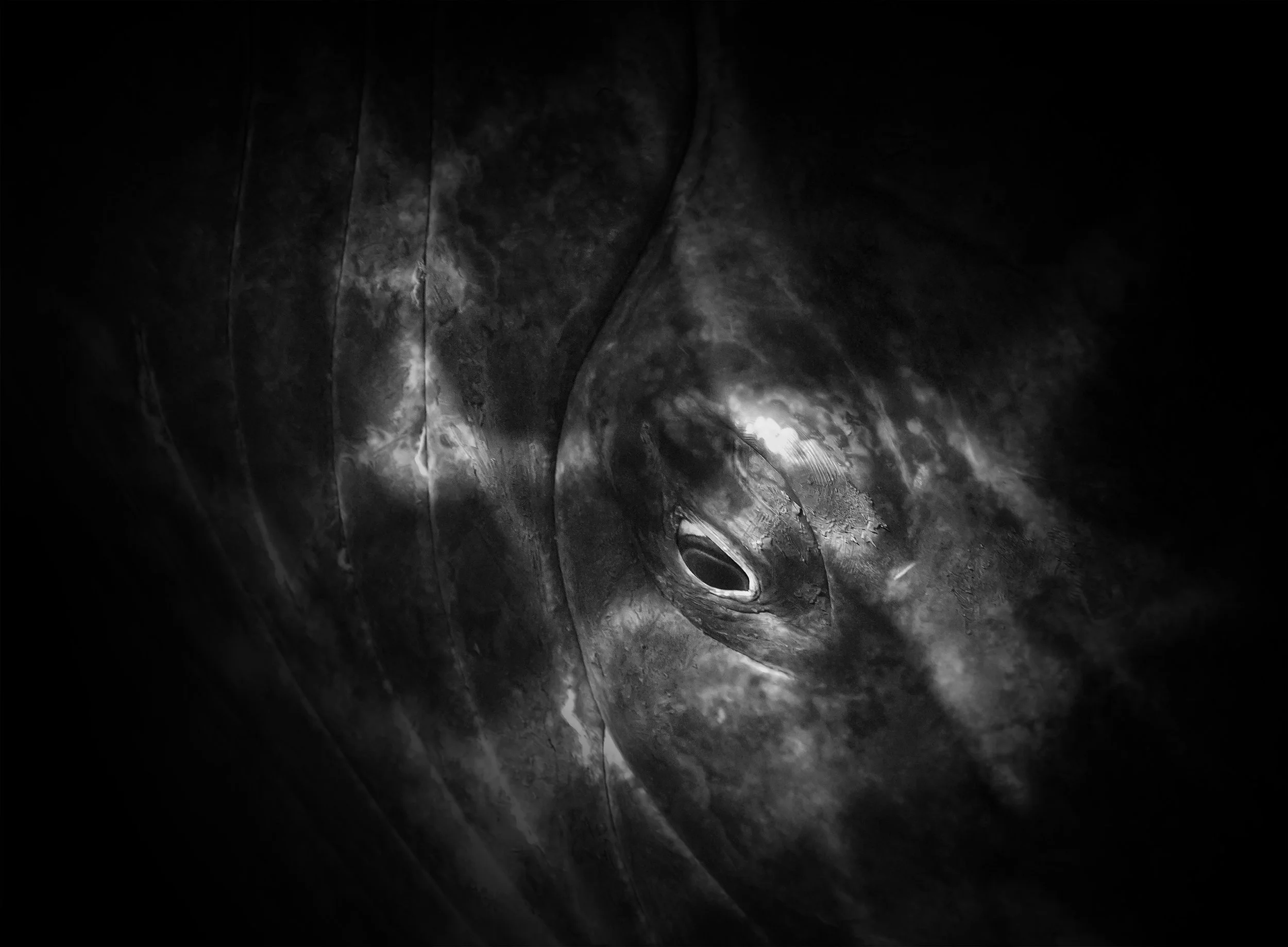 Bryant Austin - Something and Nothing.jpg