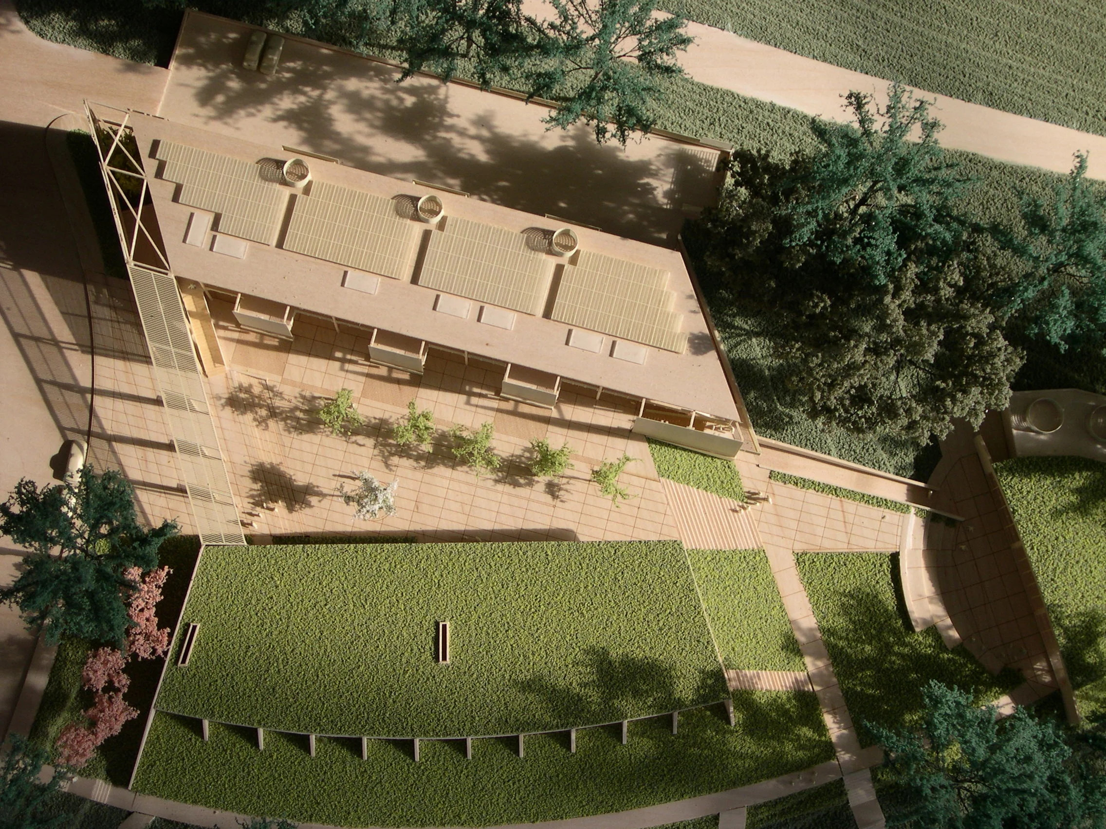 Green Flocked Model-11991.JPG