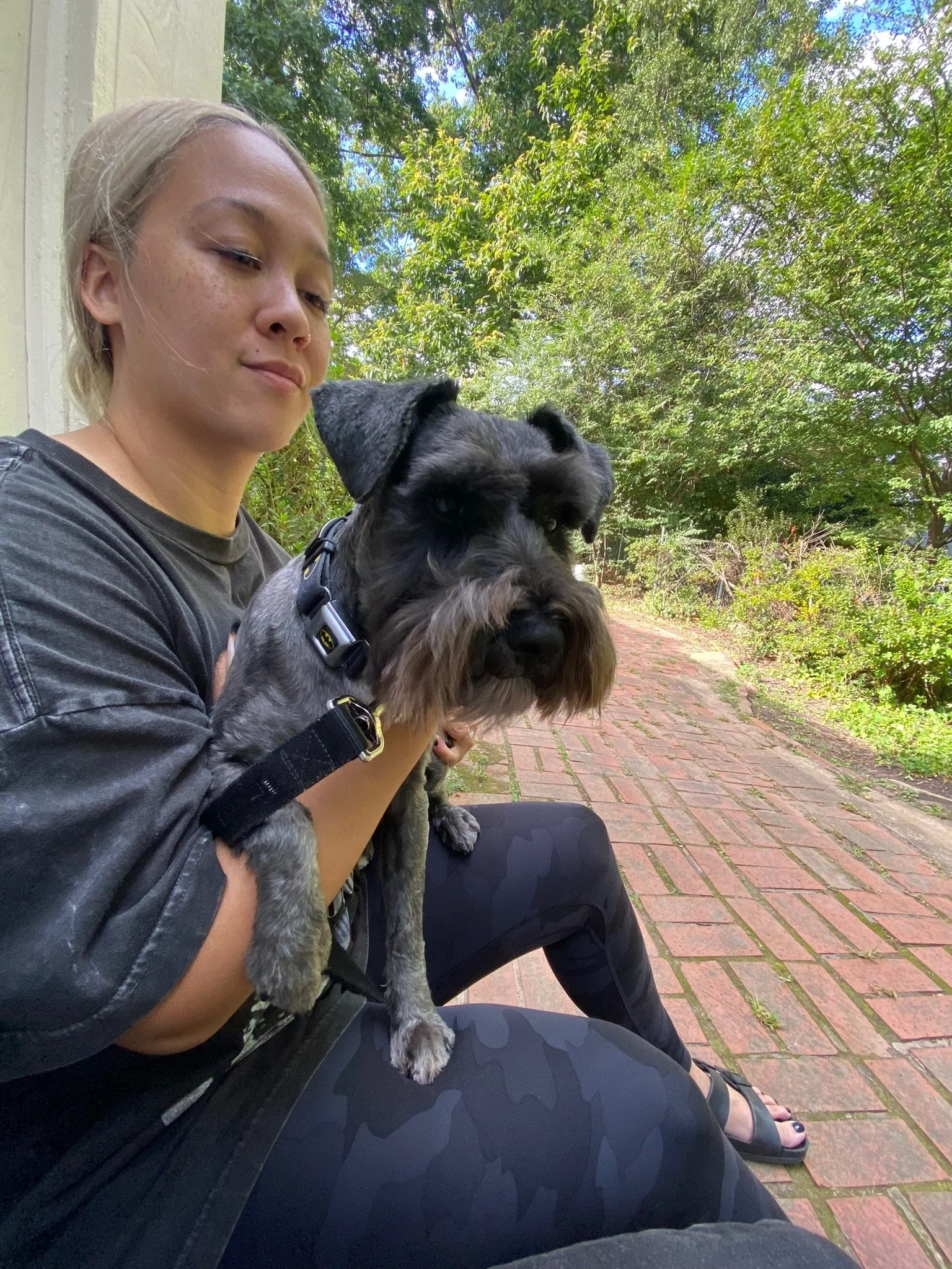 The Importance Of Telling Your Dog Trainer EVERYTHING About Your Relationship With Your Dog