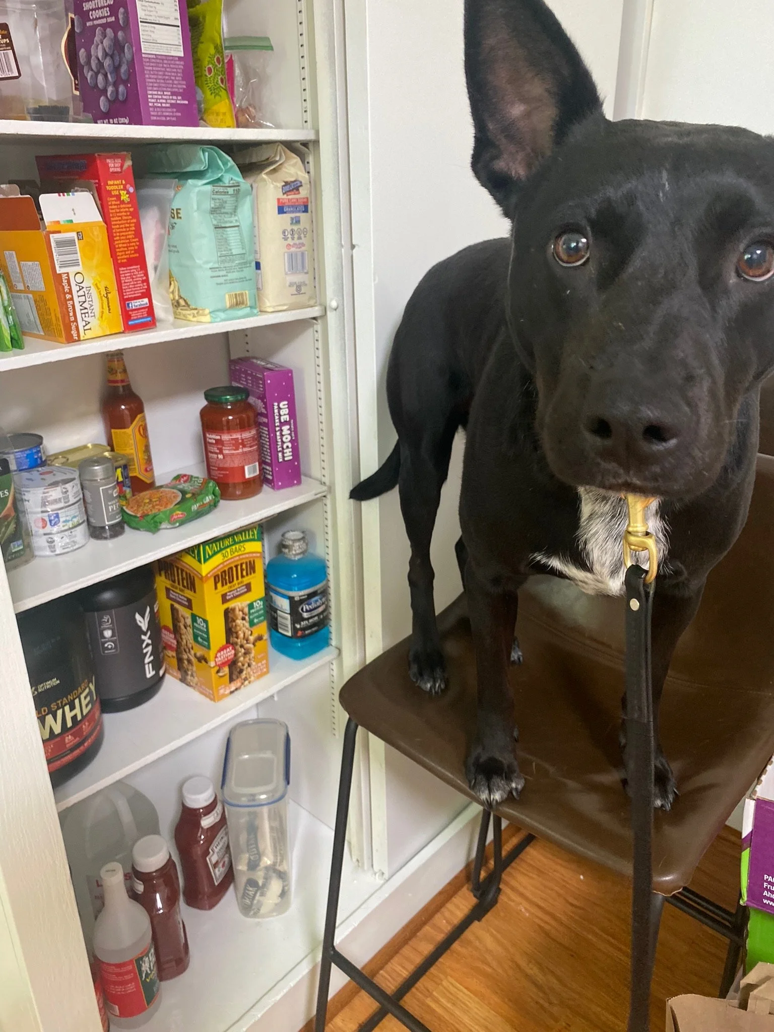 You Can’t Medicate Your Way Out Of A Behavior Problem