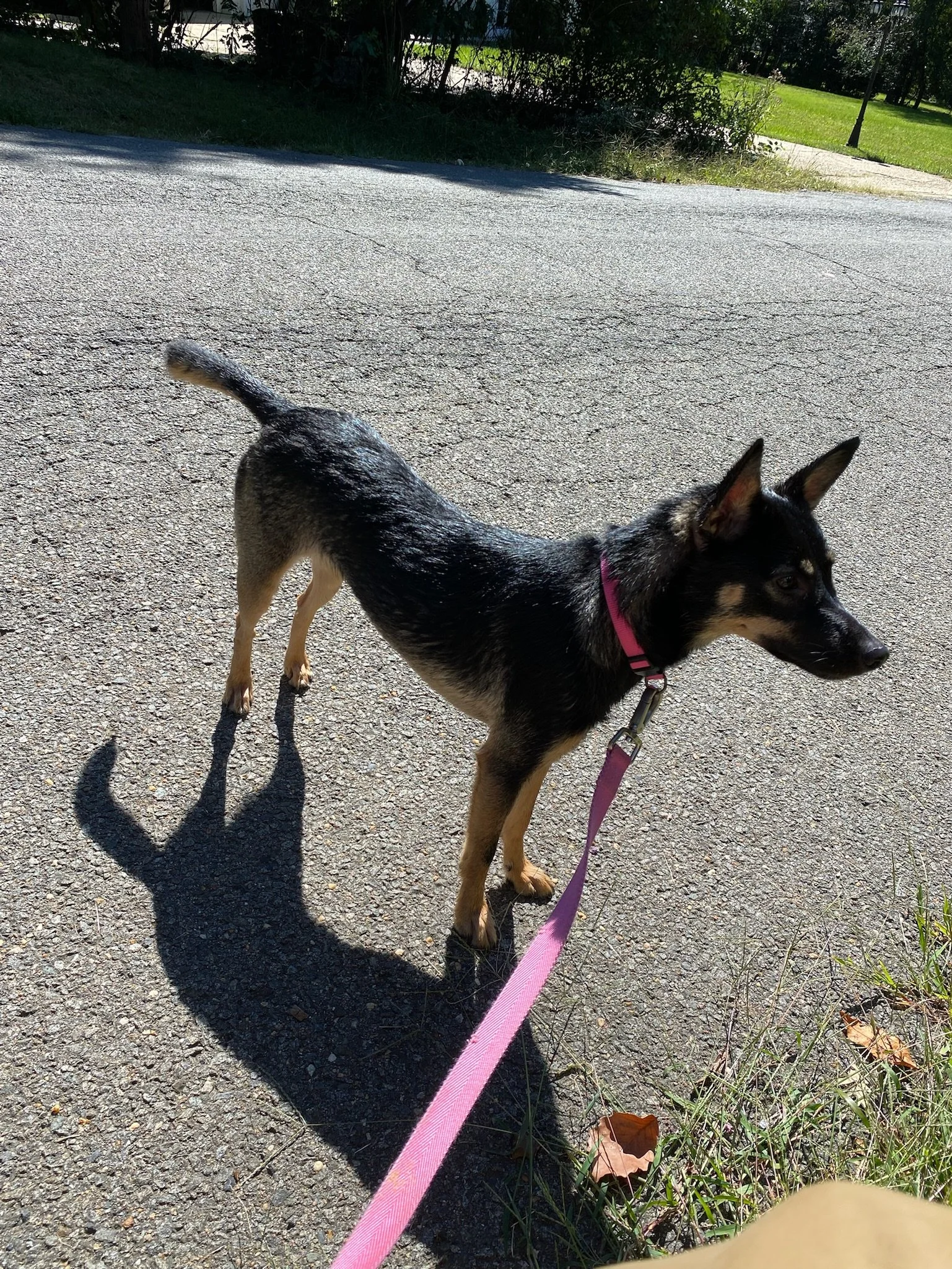 The Balance: Reward and Correction