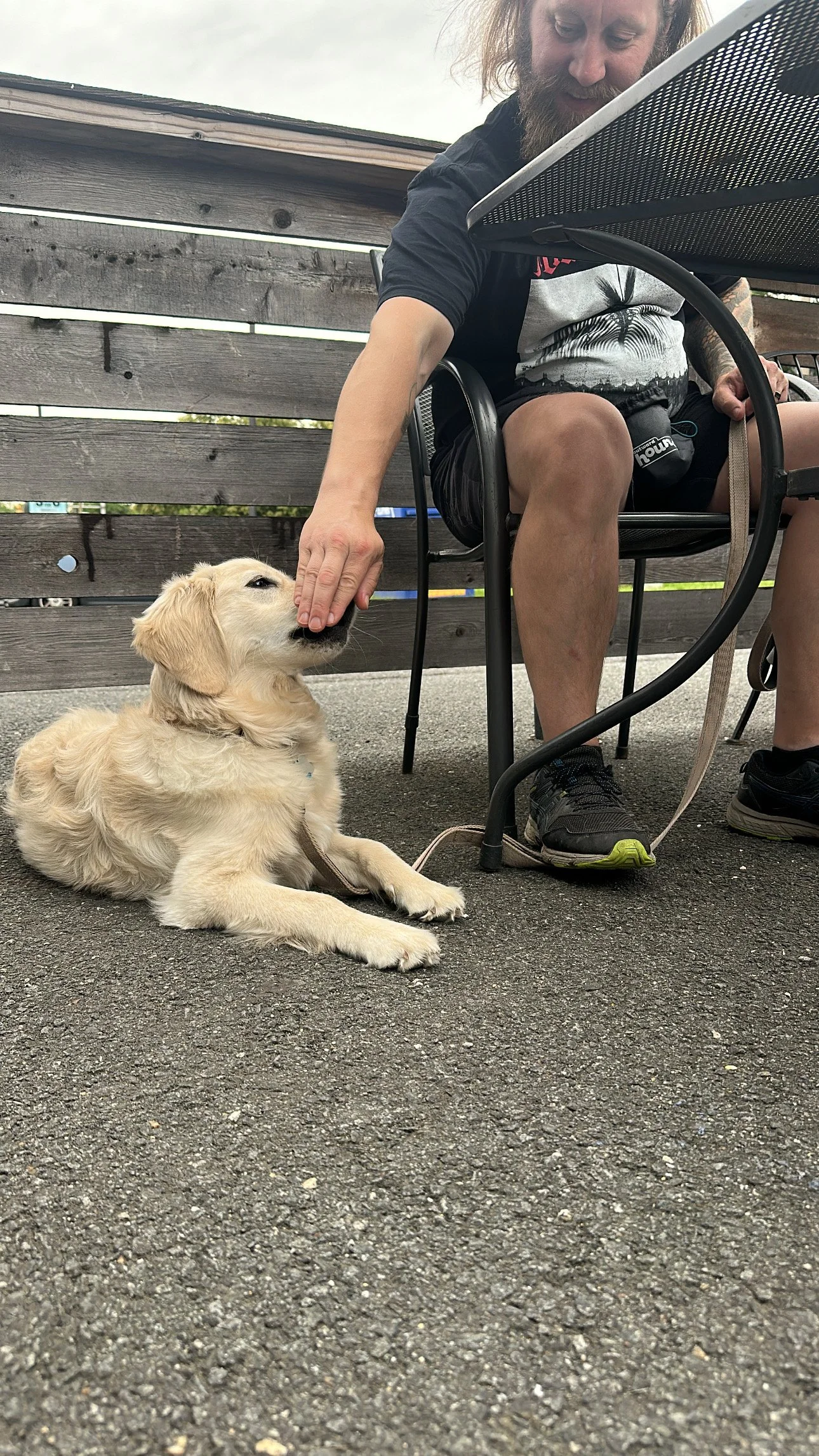 Mastering Your Dog’s Day: The Ultimate Structured Daily Schedule for a Happy, Healthy Pup