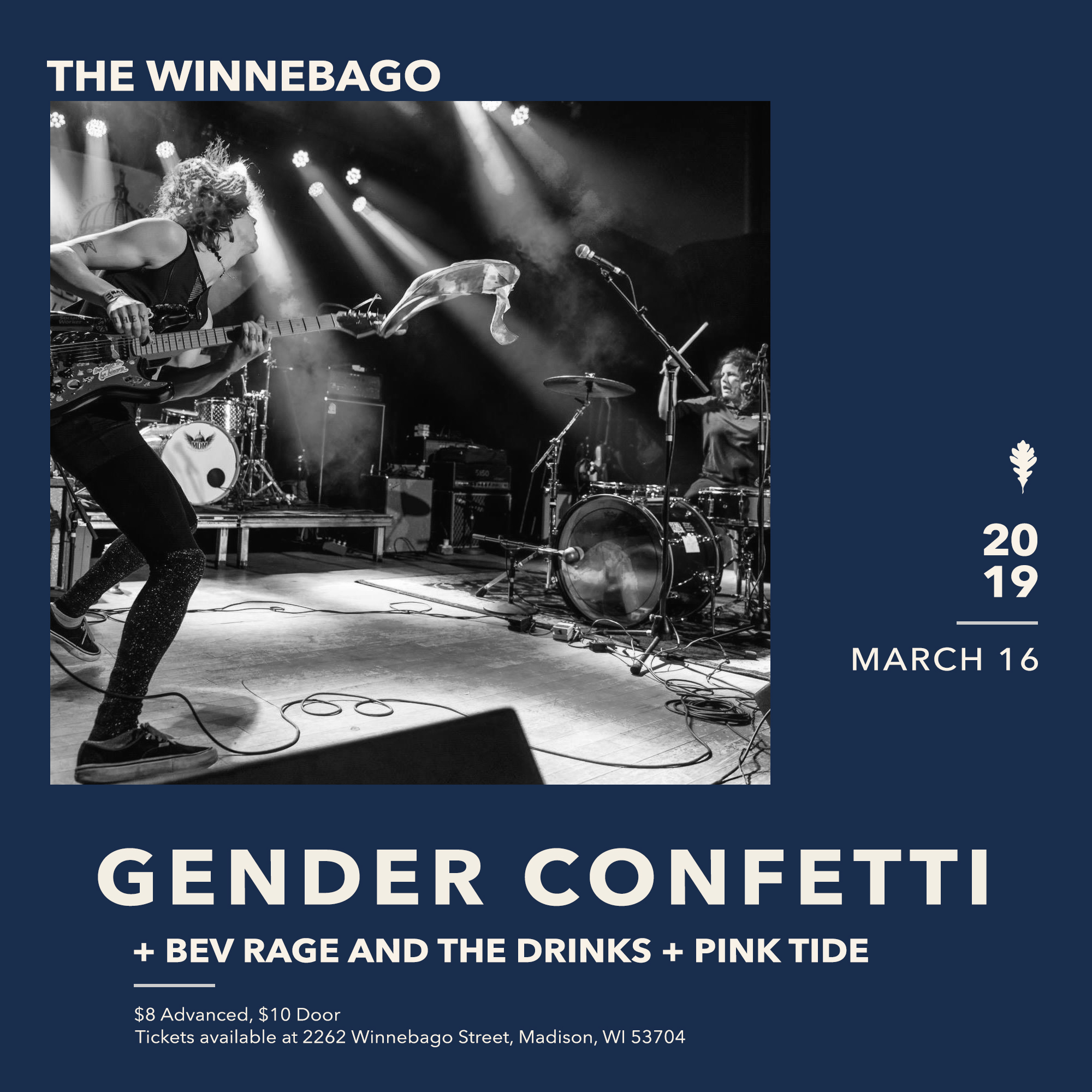 GENDER CONFETTI // BEV RAGE AND THE DRINKS // PINK TIDE