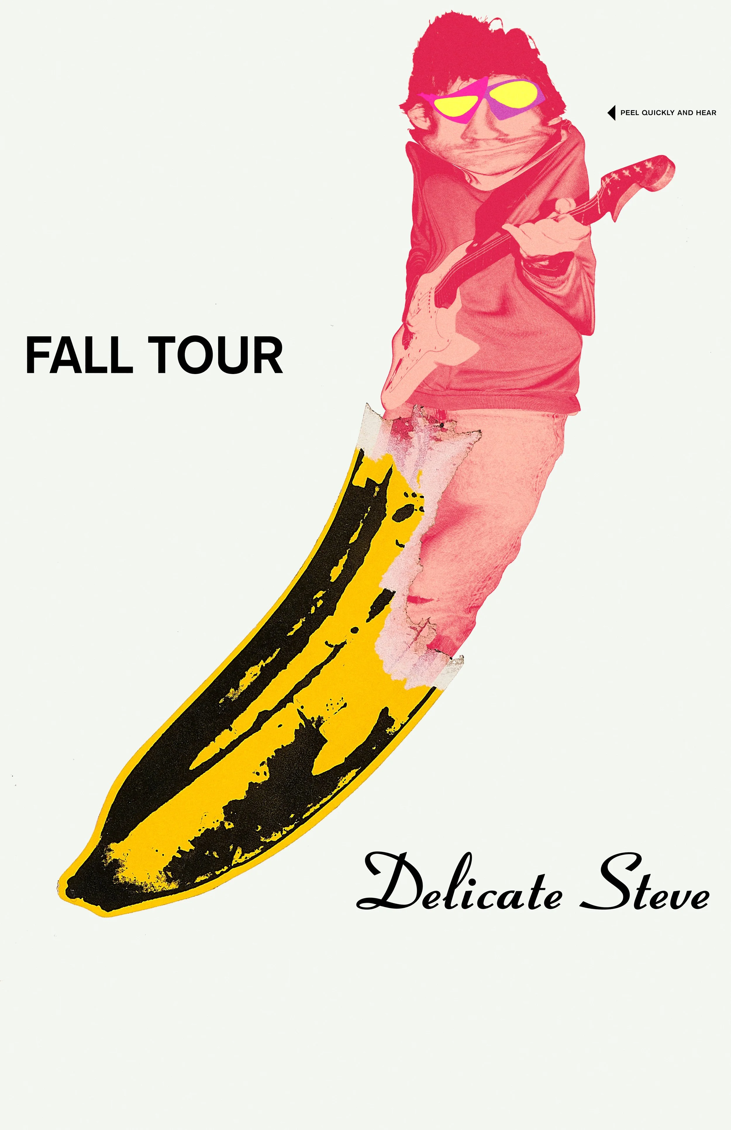 Delicate Steve