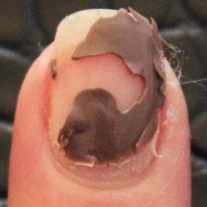 Step 7