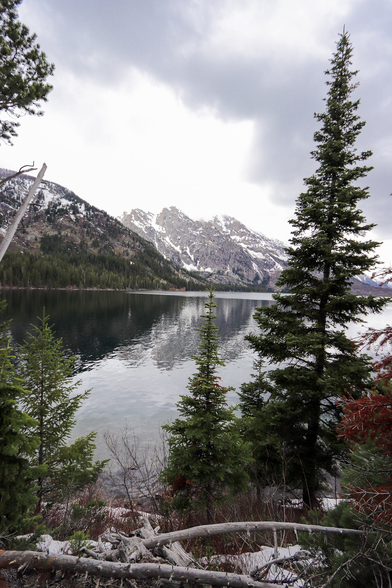  Hiking the west side of Jenny Lake Trail  