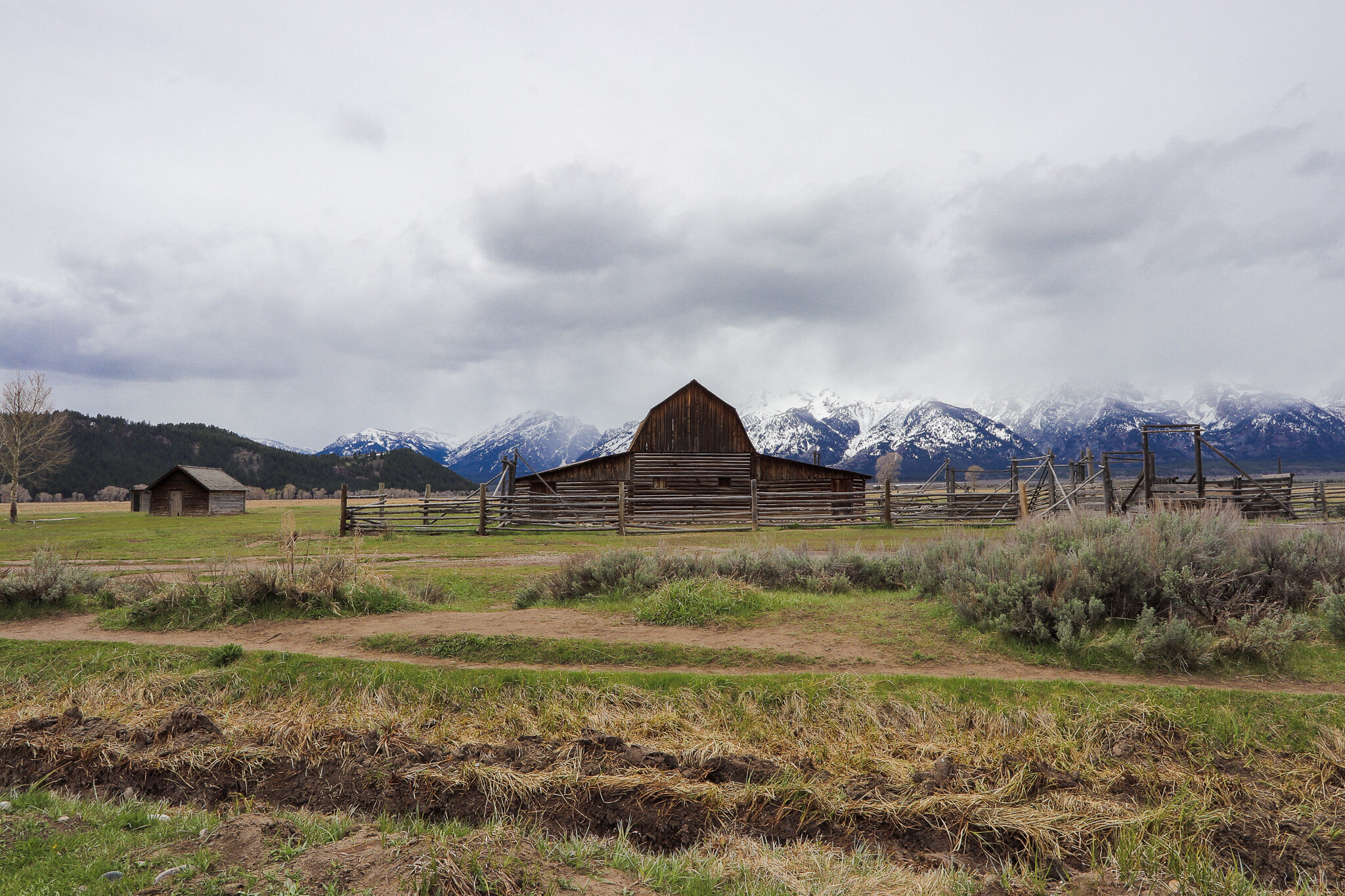  Moulton’s Barn on Mormon Row 